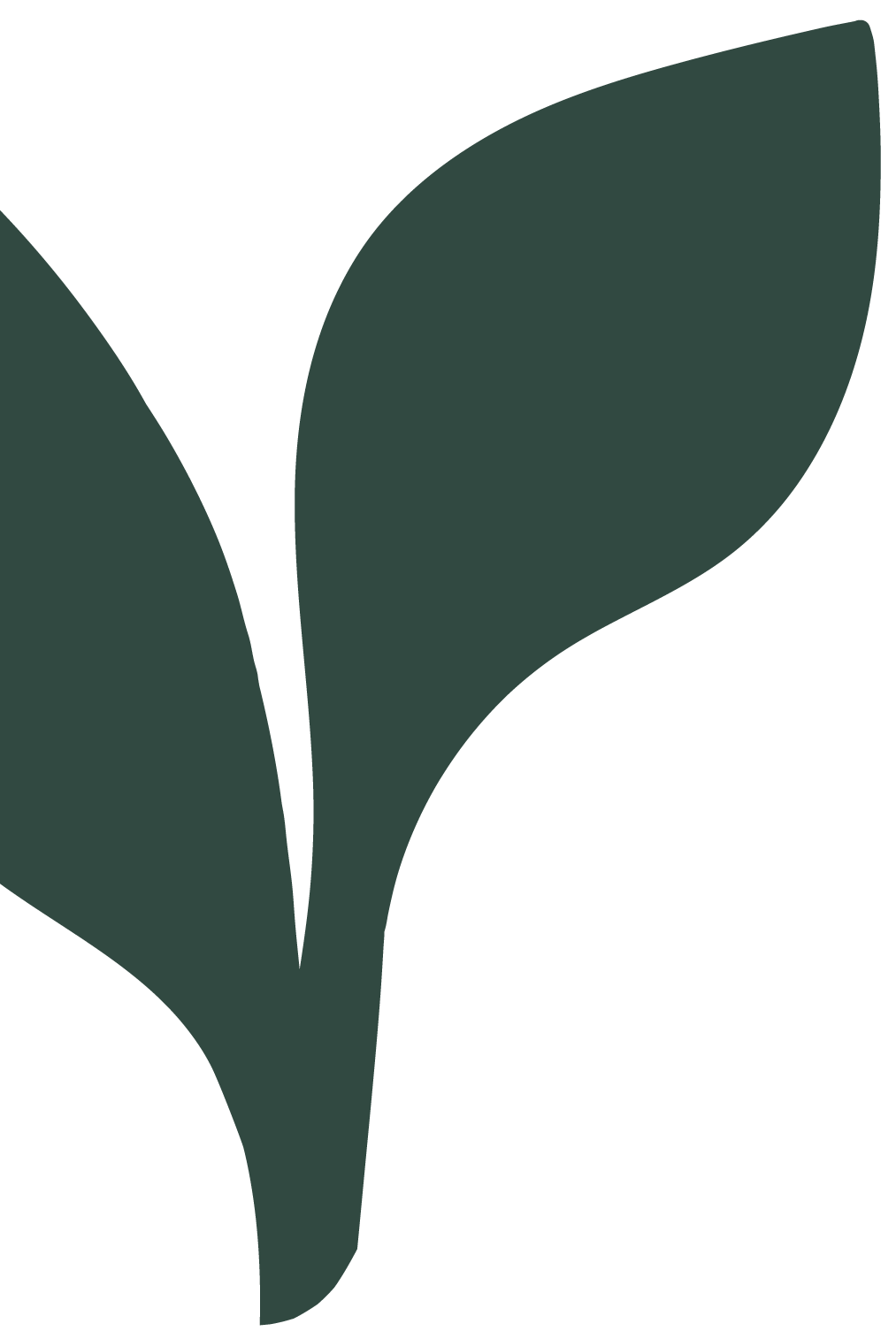 A minimalist digital illustration of two dark green leaves with smooth edges.