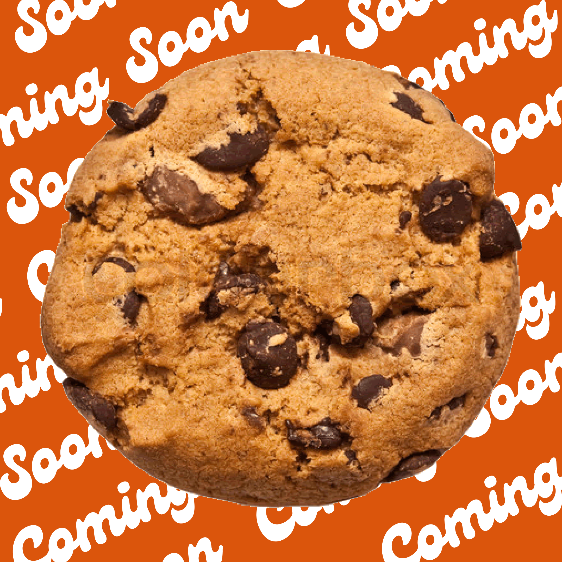 Cookie Sample Box
