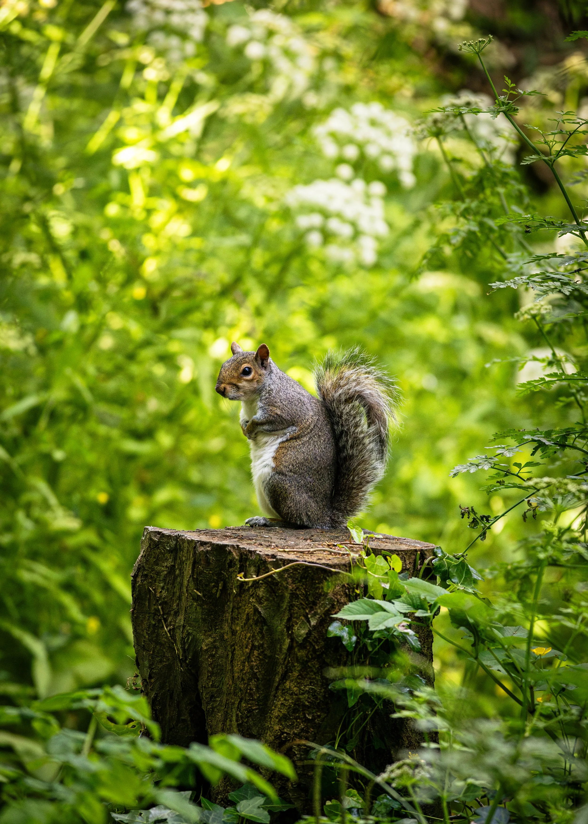 websitephotos 72ppi-1.jpg