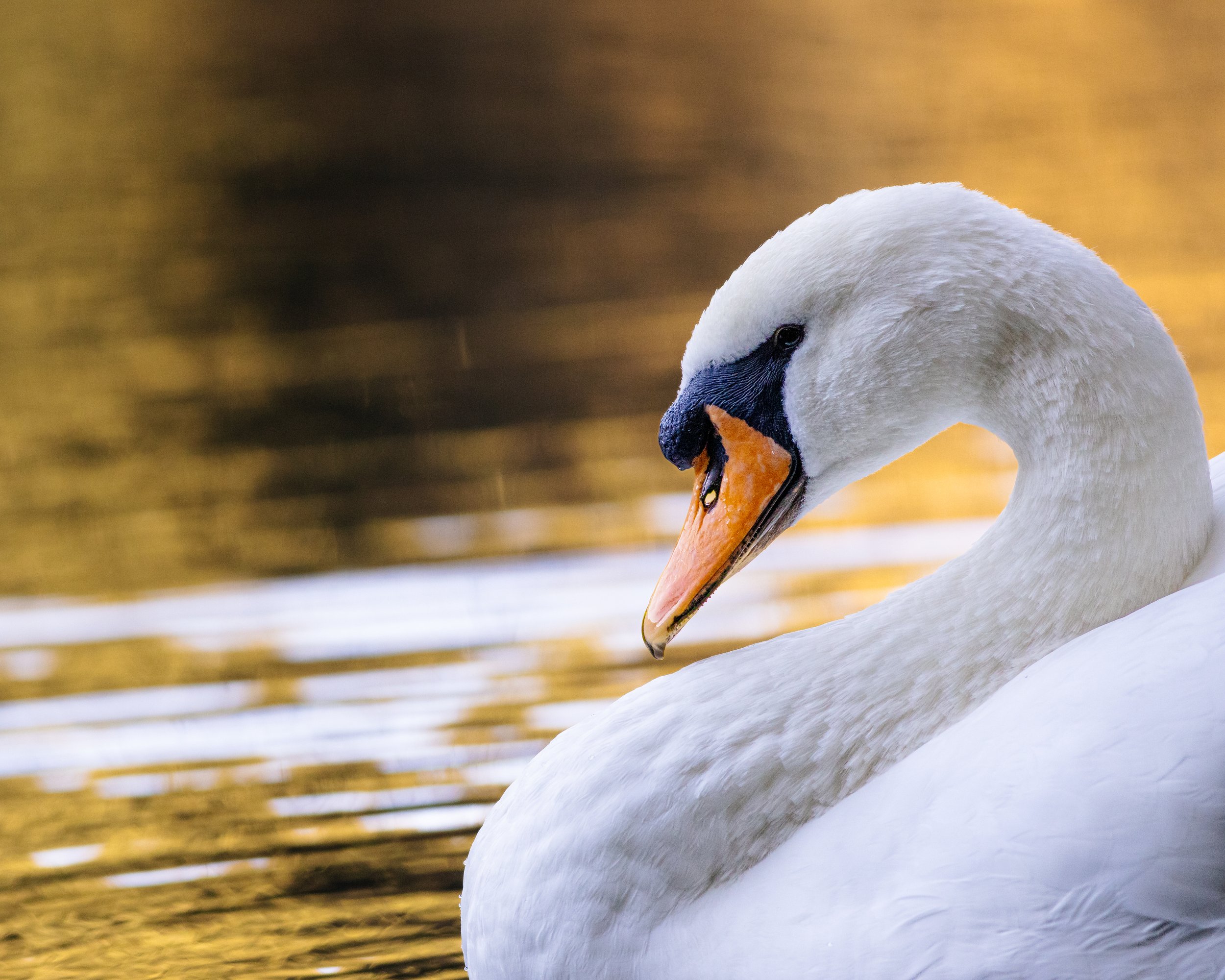 websitephotos 72ppi-6.jpg