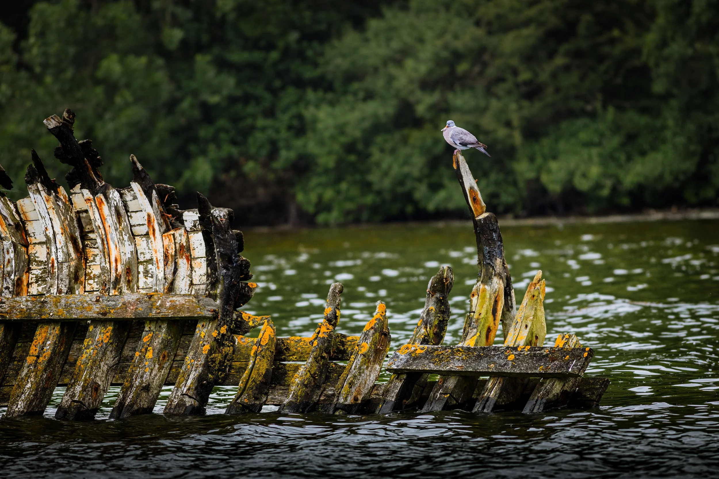 The Last Watch-1.jpg