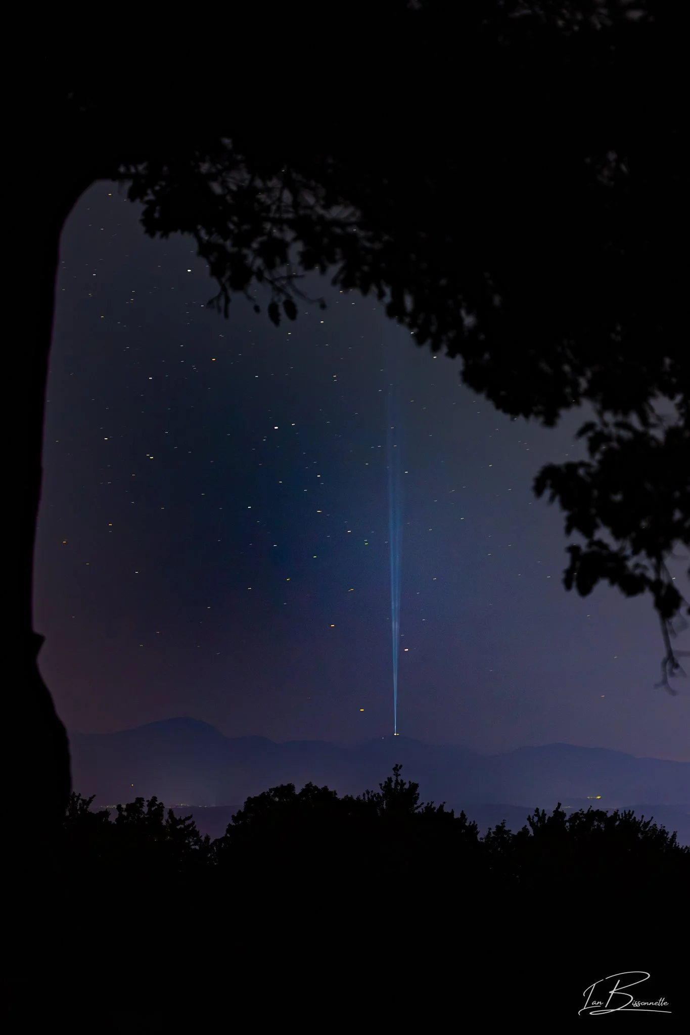 Mt Washington Lights 9/11 Memorial 2026 - Through the trees