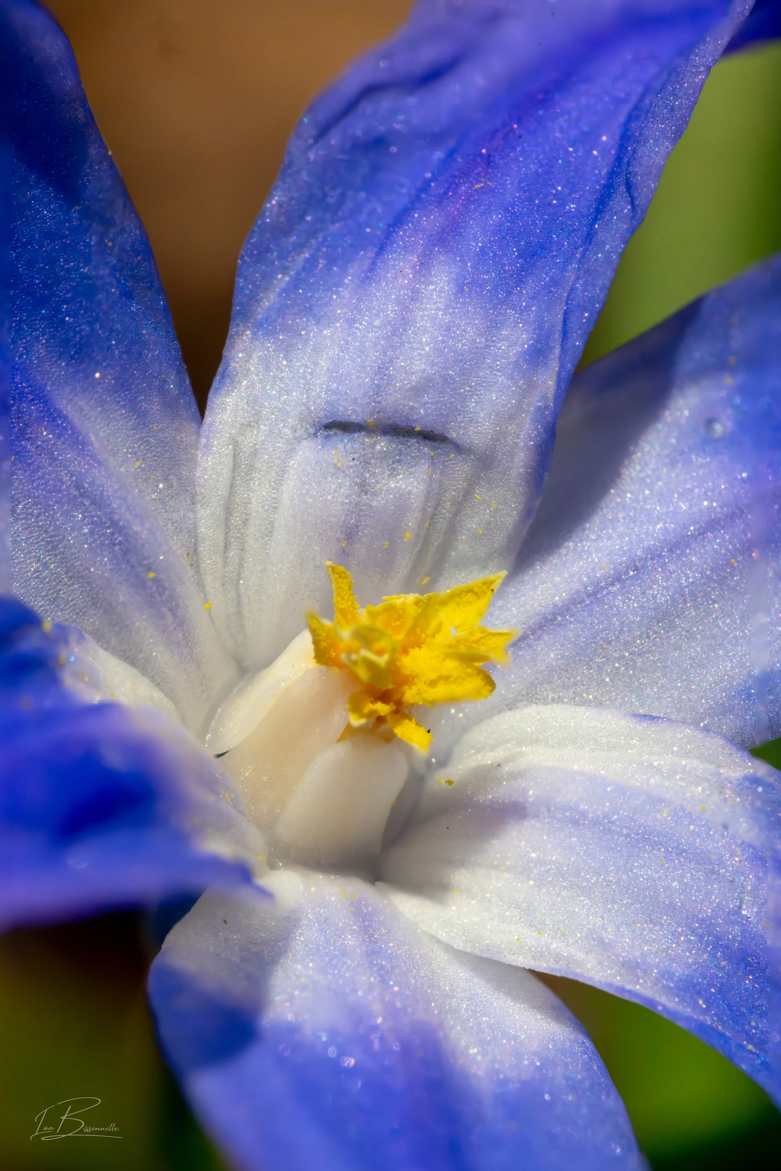 0C2A9668-2.jpg