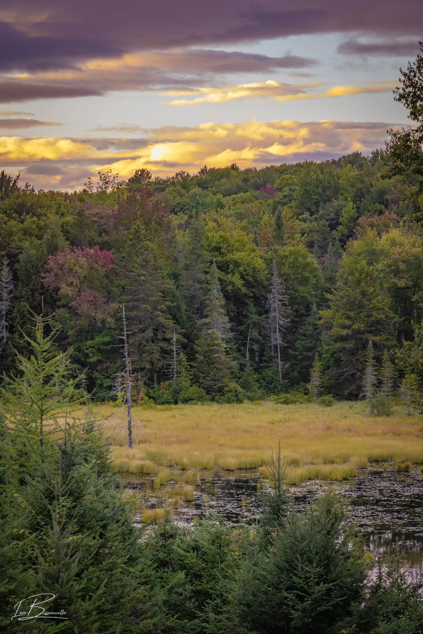 Wolcott, VT