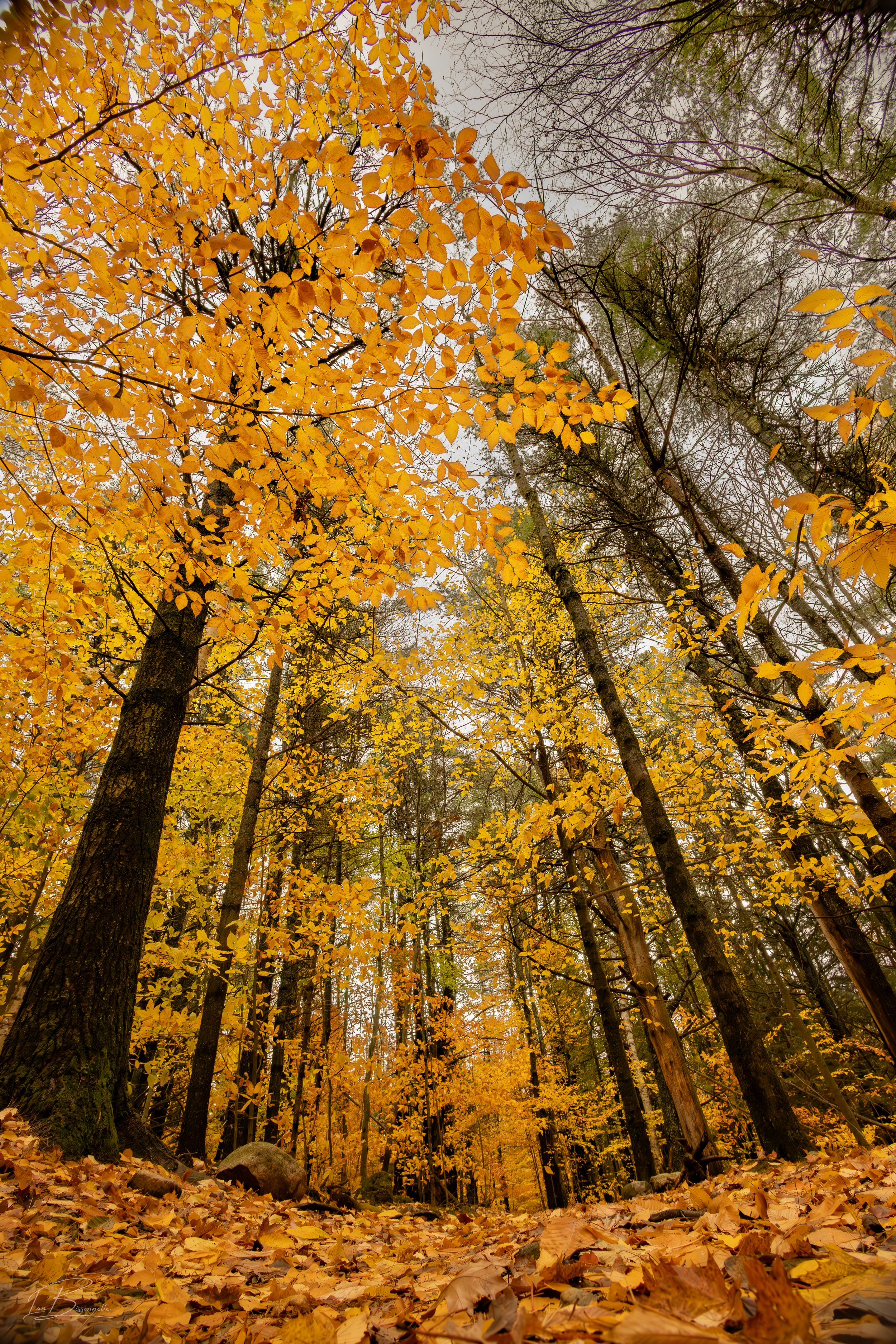 October