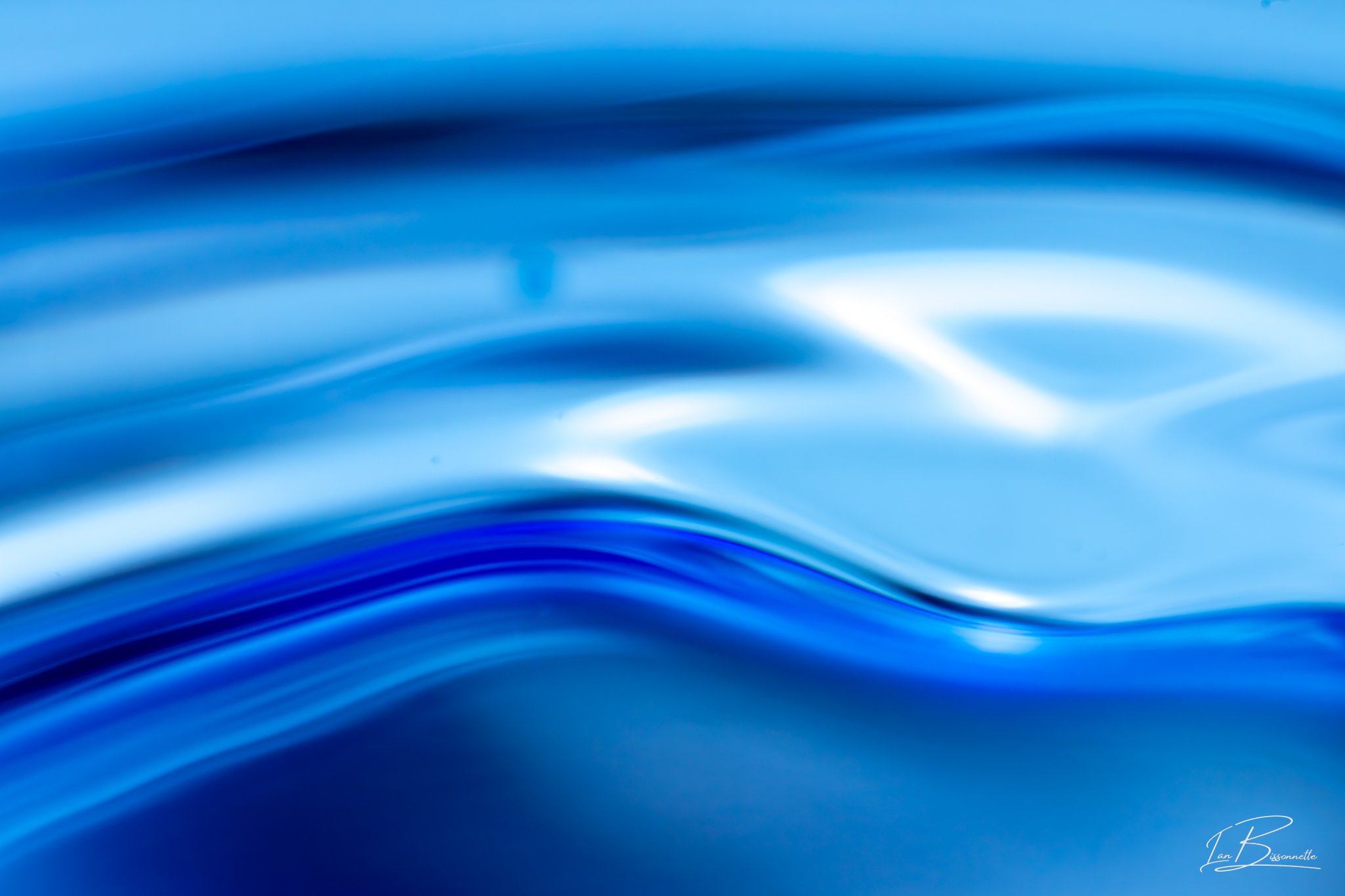 0C2A8460.jpg