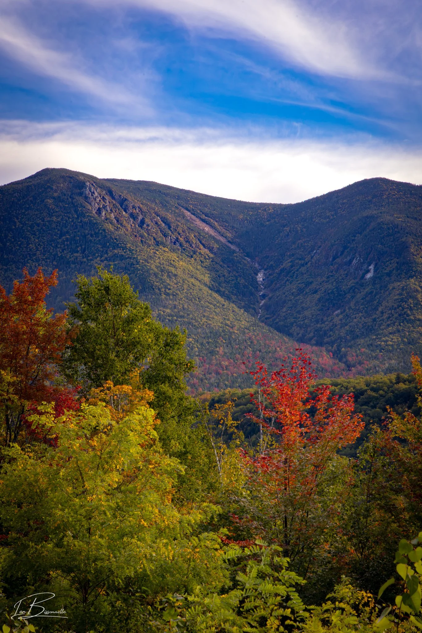 Fall Foliage in the Whites