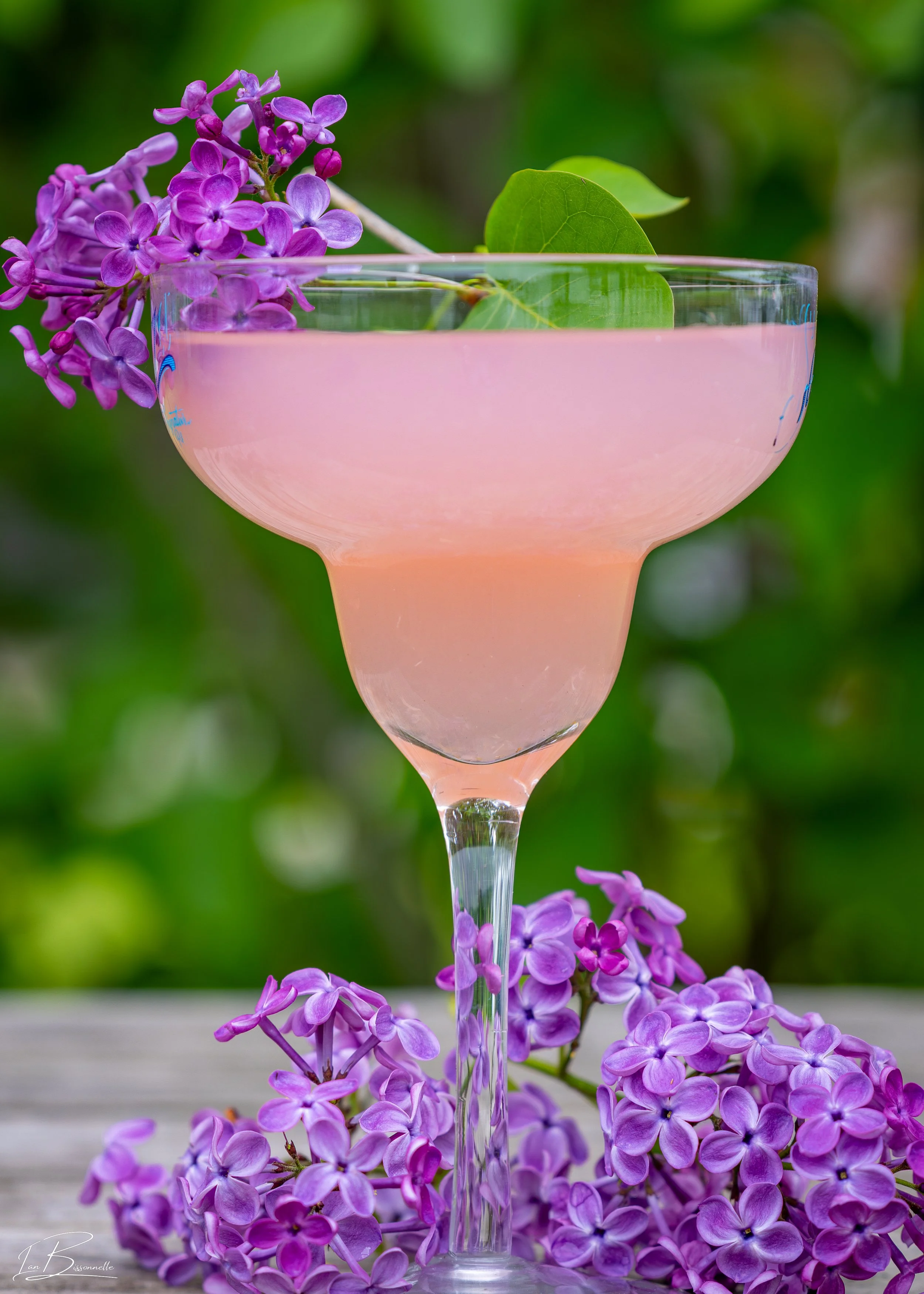 Lilac Lemonade
