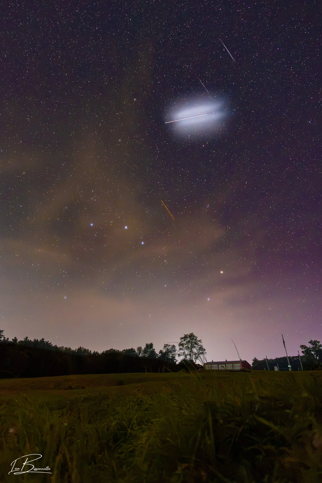 Falcon 9 Leaves