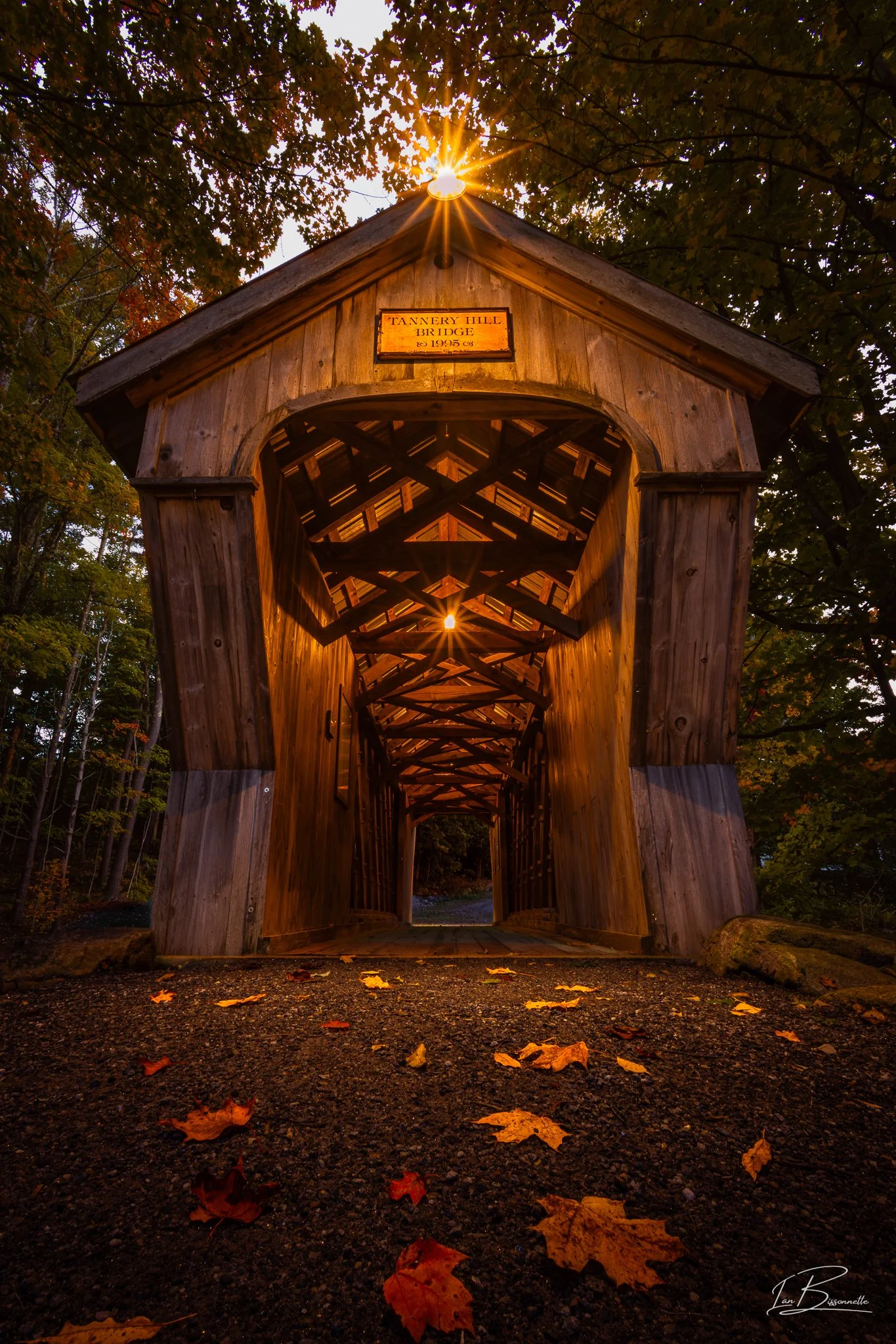 Bridge Photography