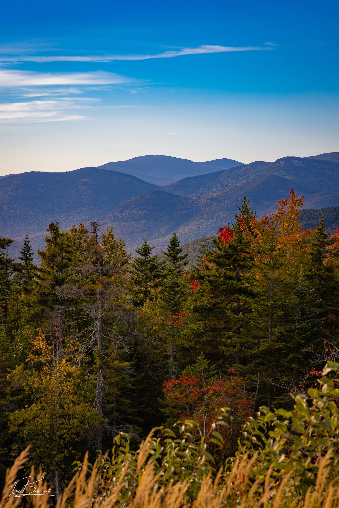 White Mountains fall folliage