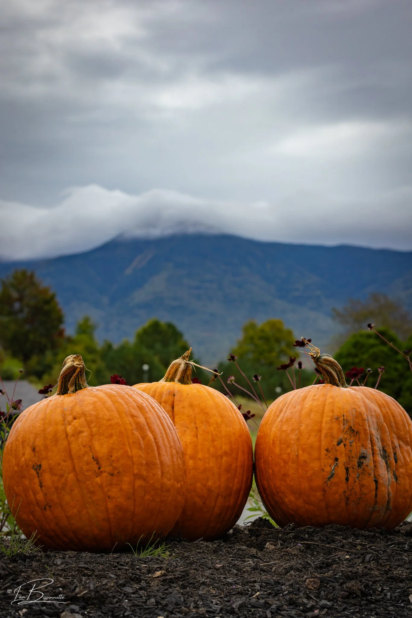 Pumpkin Mountains