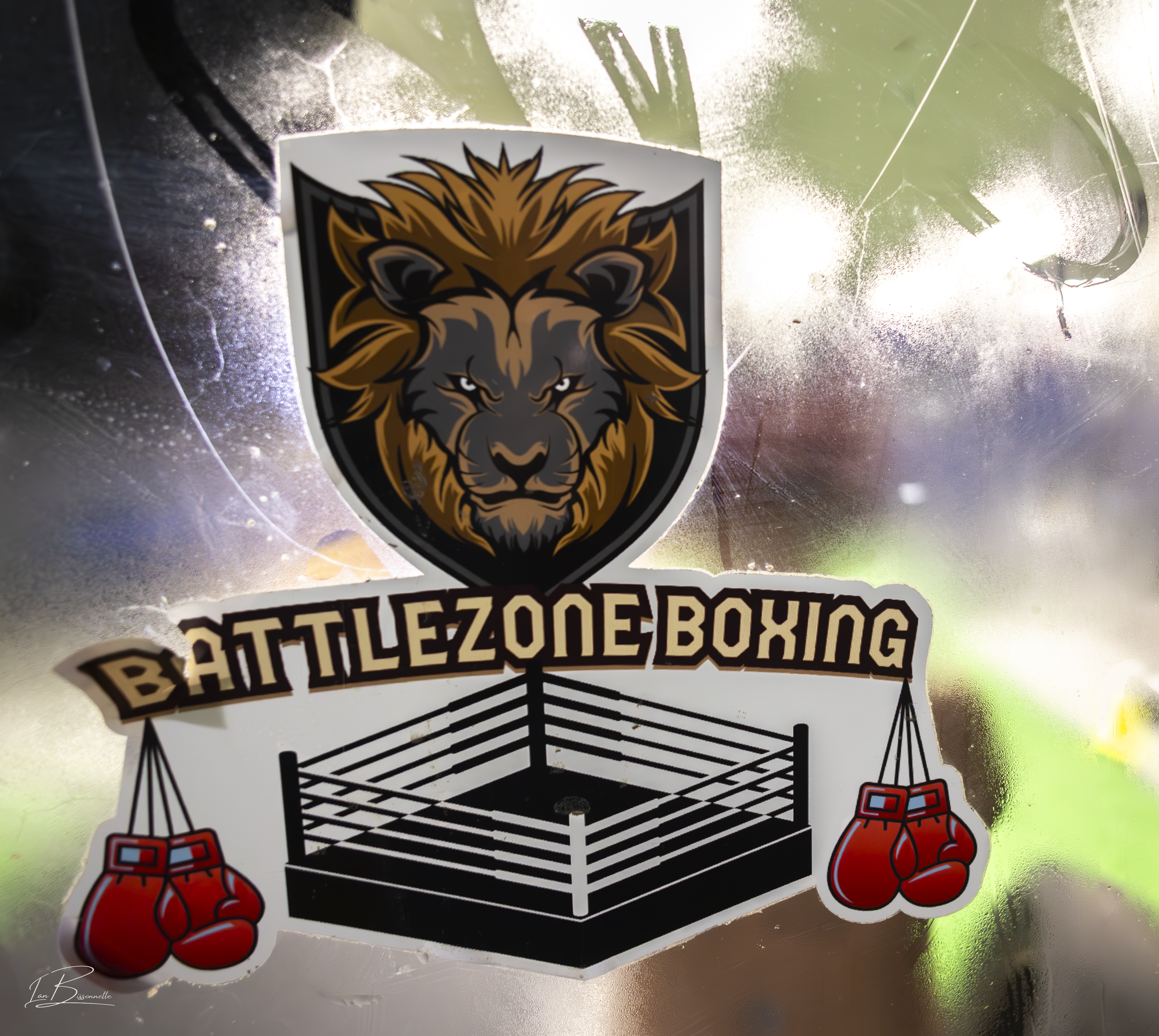 0C2A7299.png