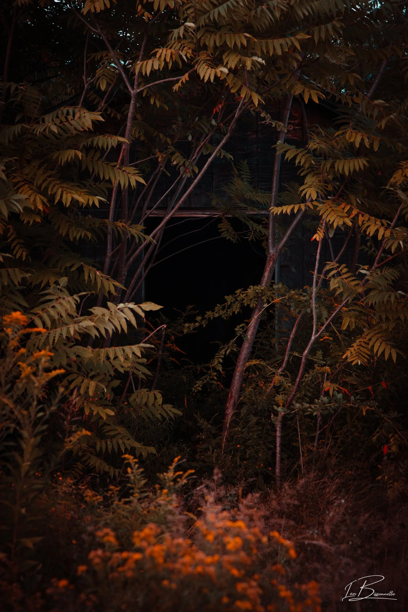 0C2A7633.jpg