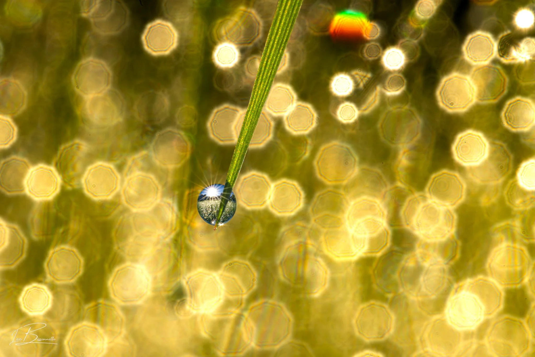 Glorb