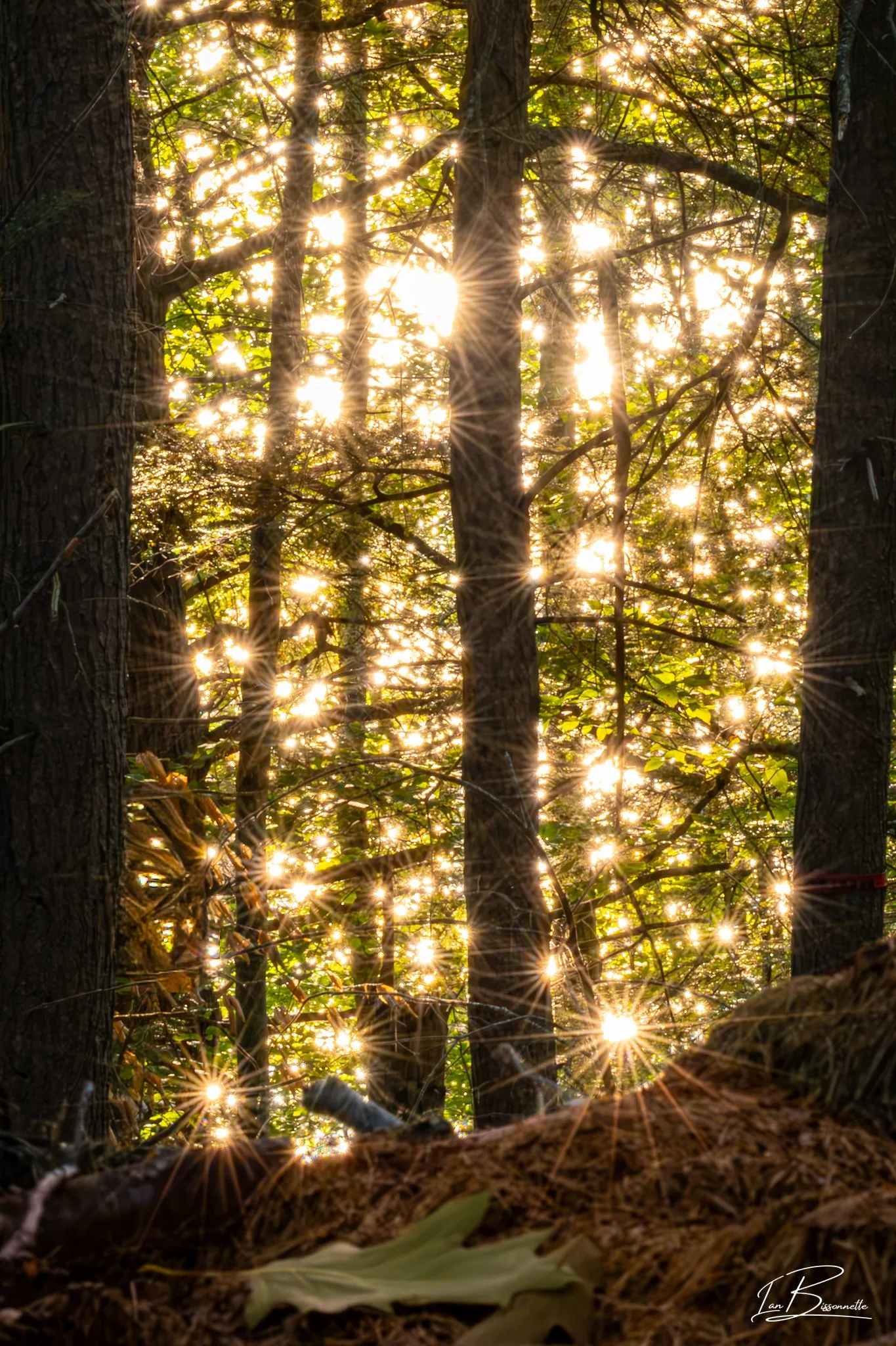 Sparkle Motion