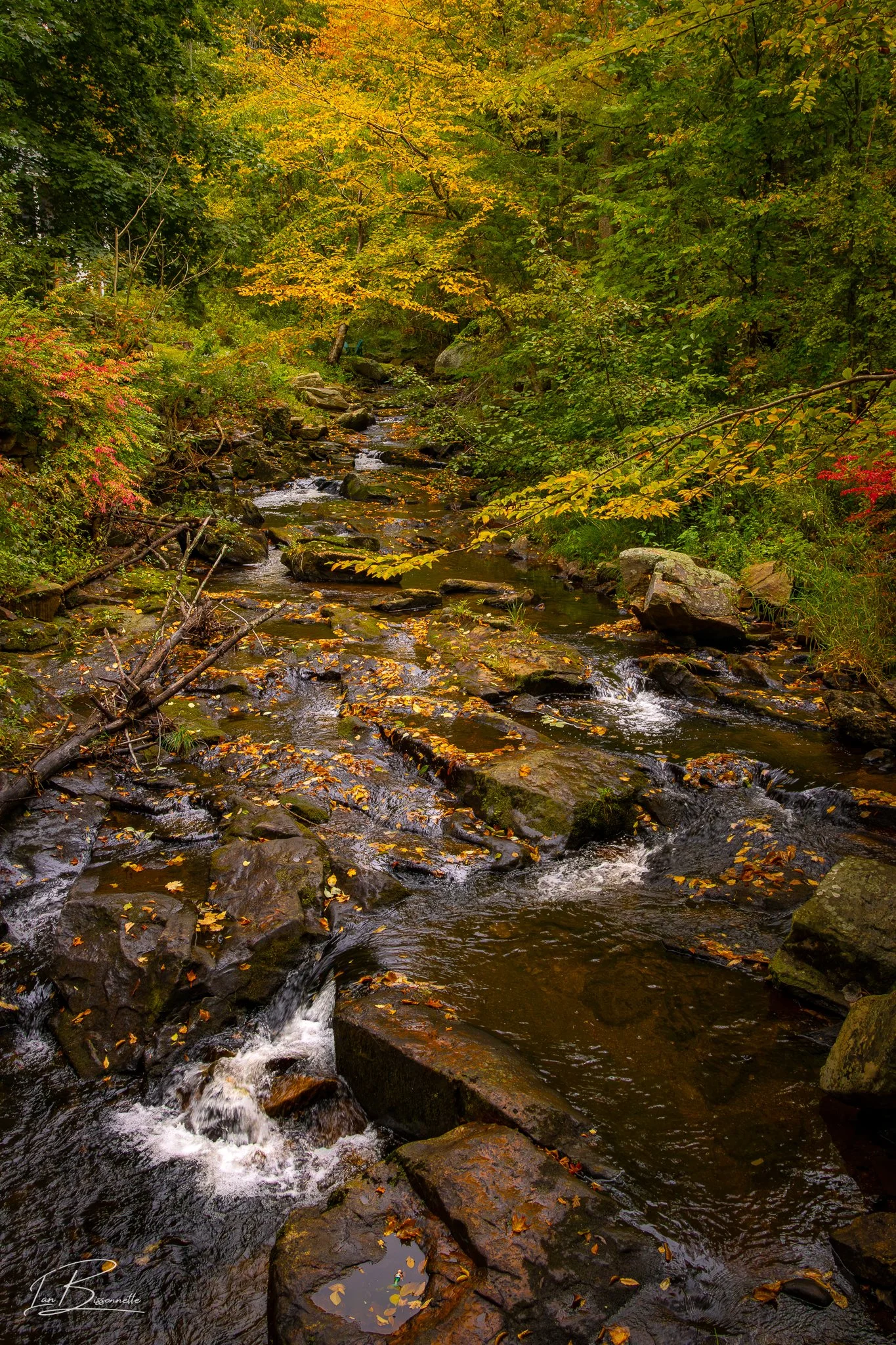Fall Brook, NH