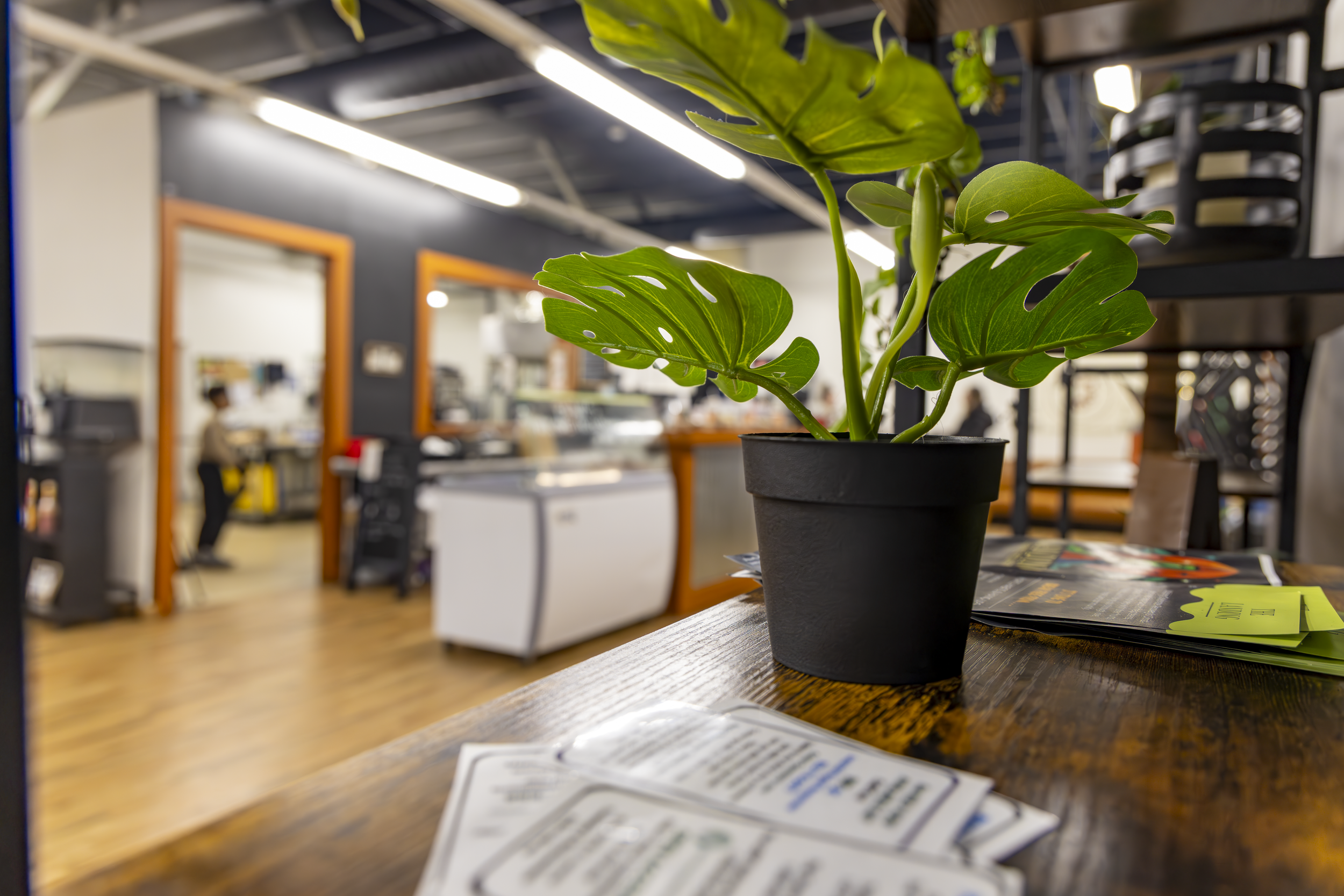 0C2A6229.png