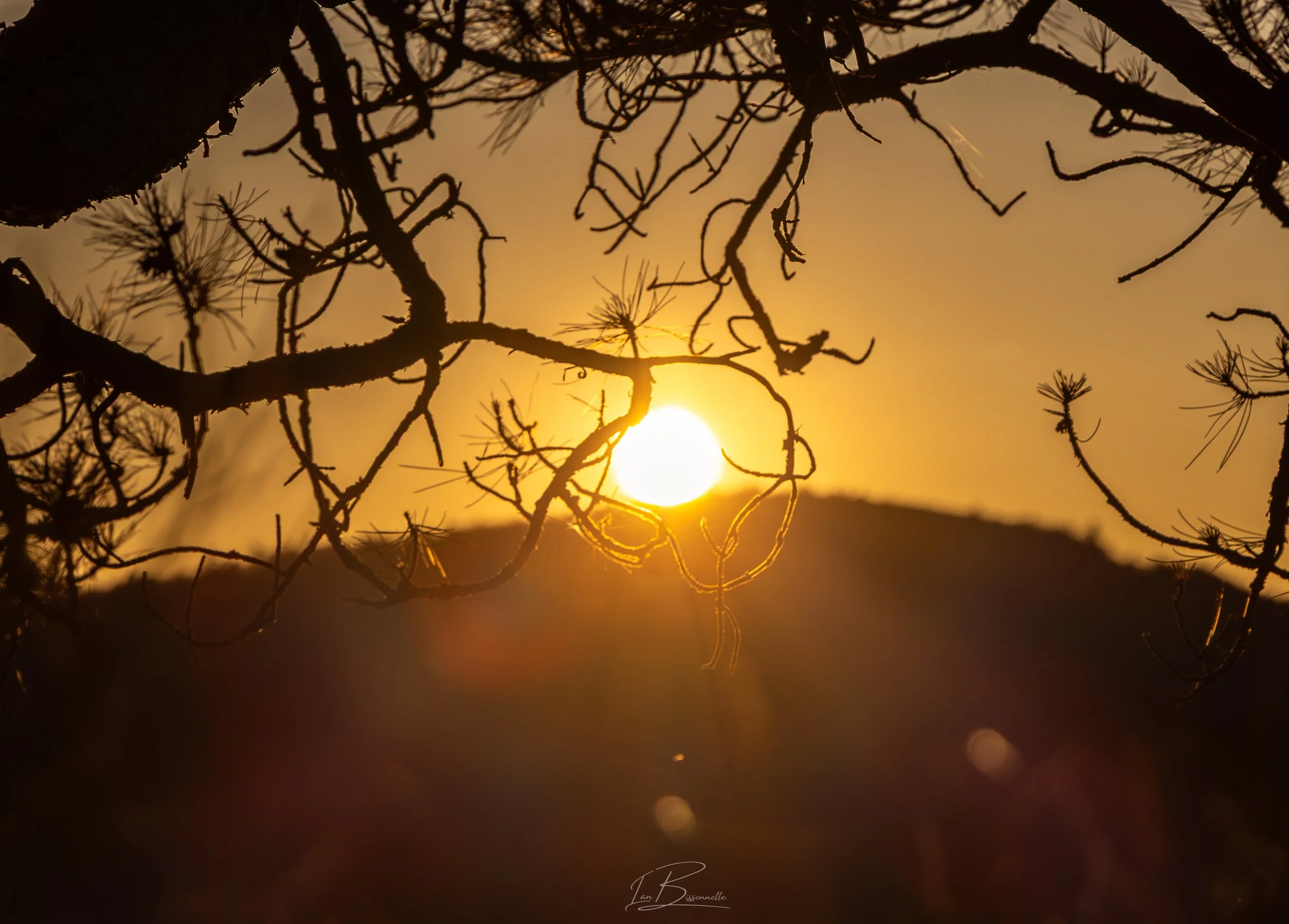 Sun Support