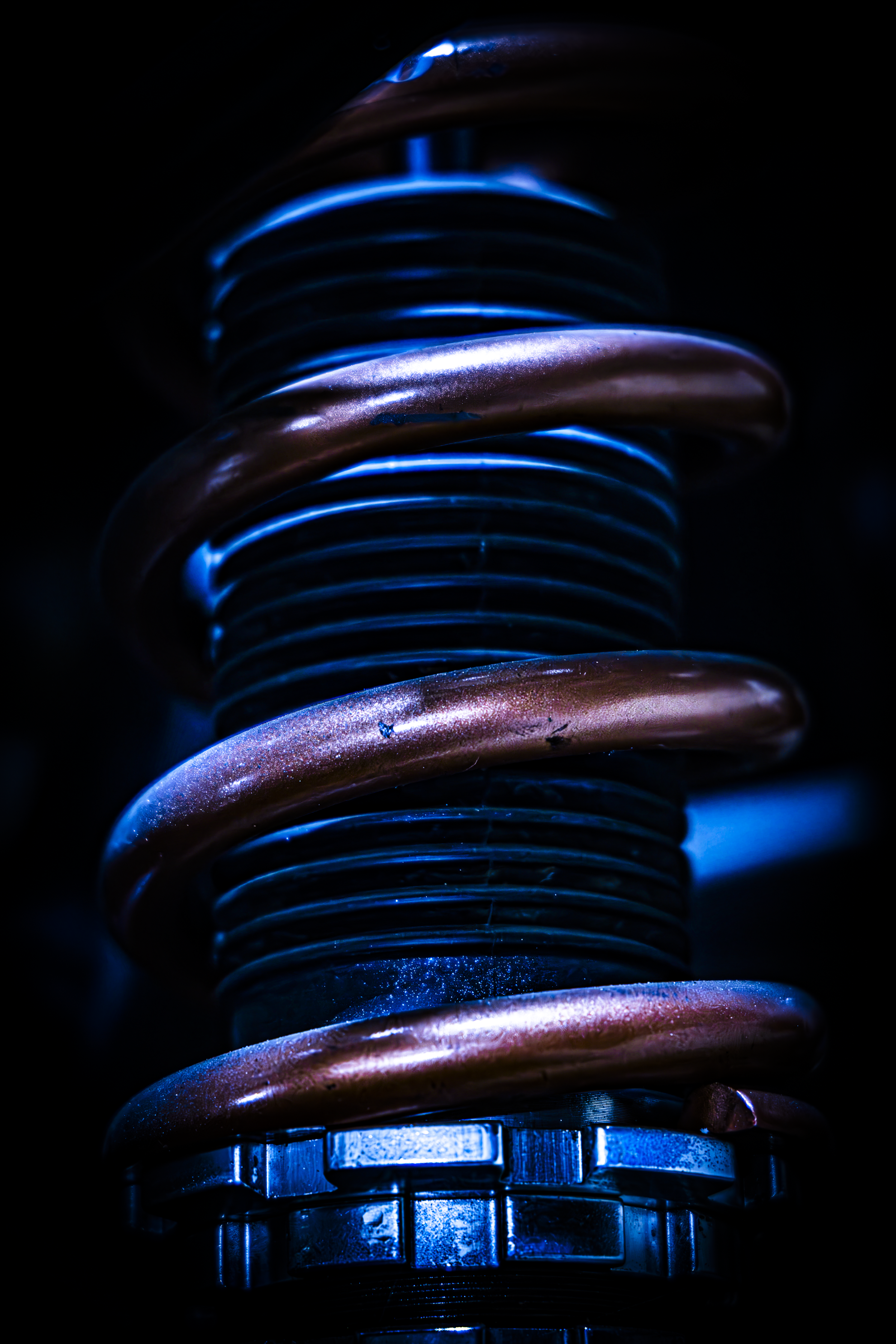 0C2A7349.png