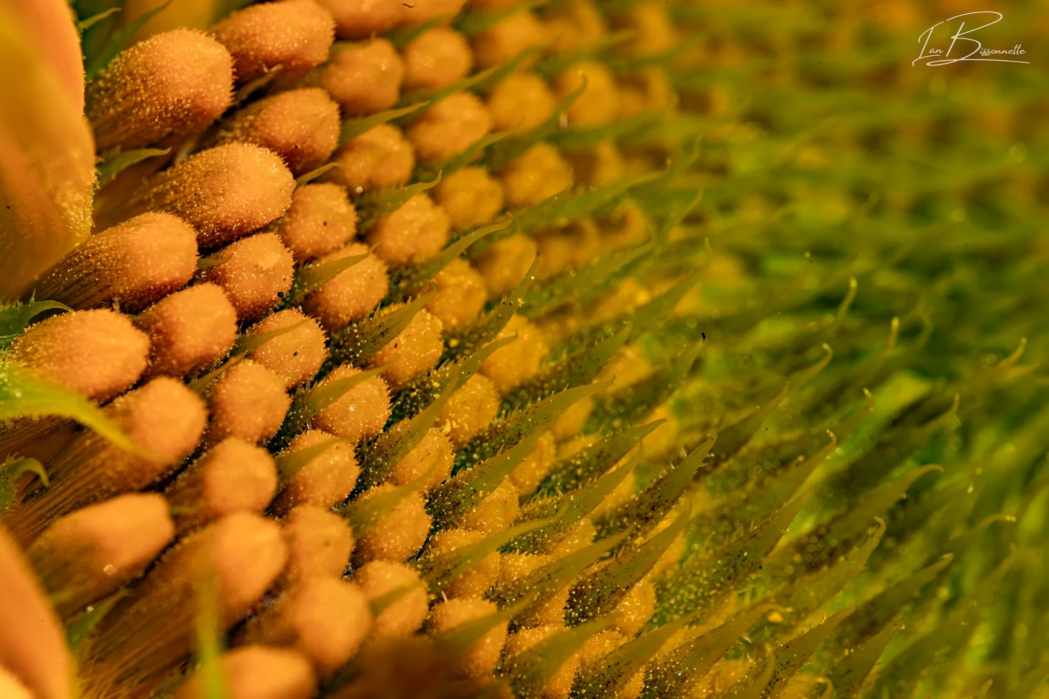 0C2A5261-Edit.jpg