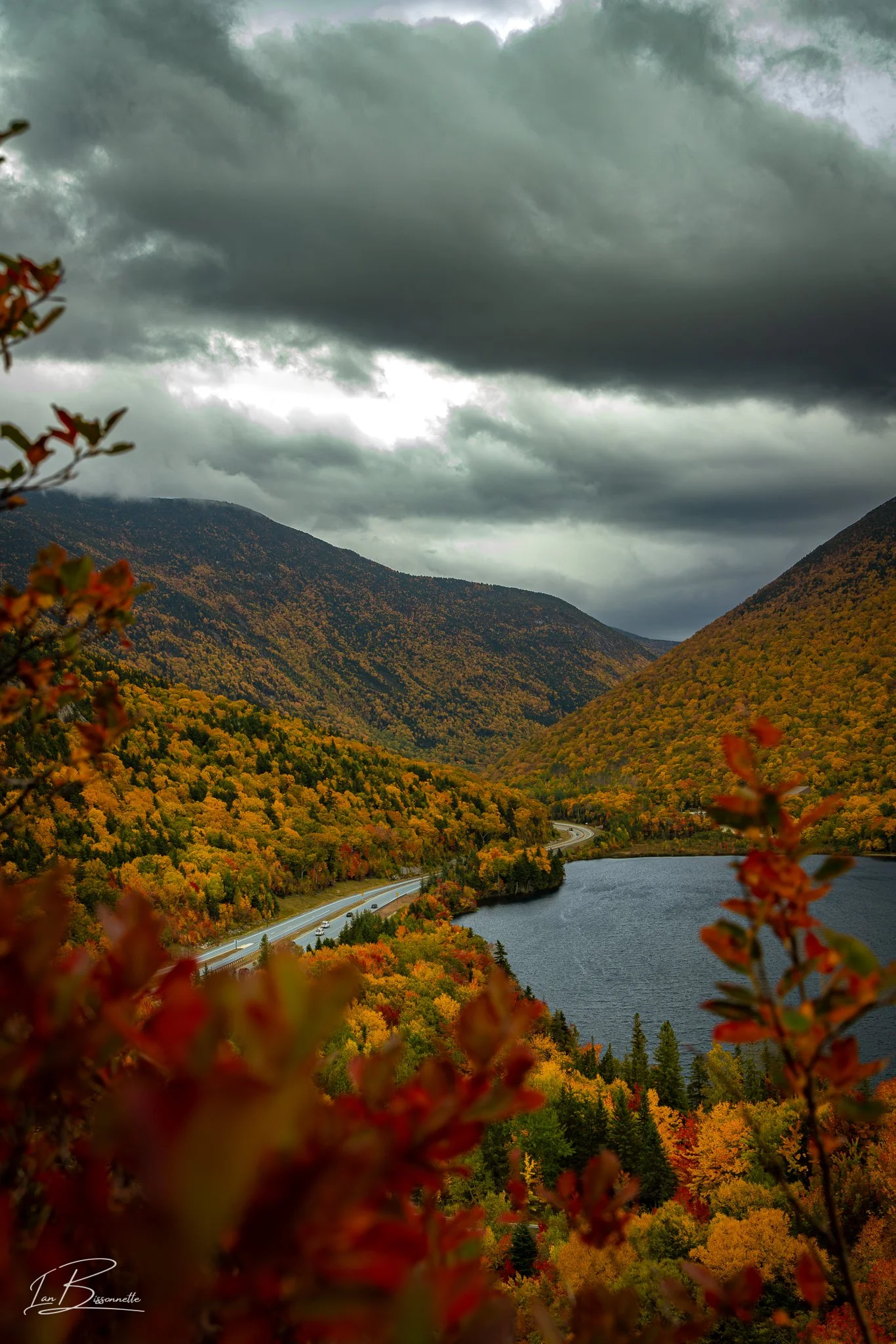 Franconia Notch - Red leaf border