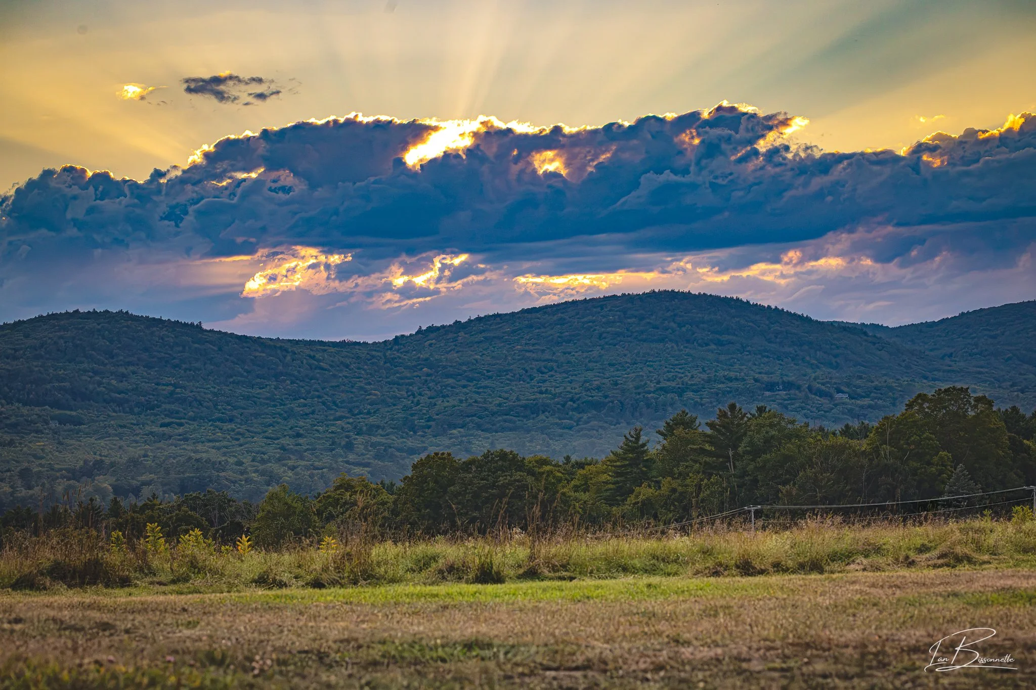 Crepuscular