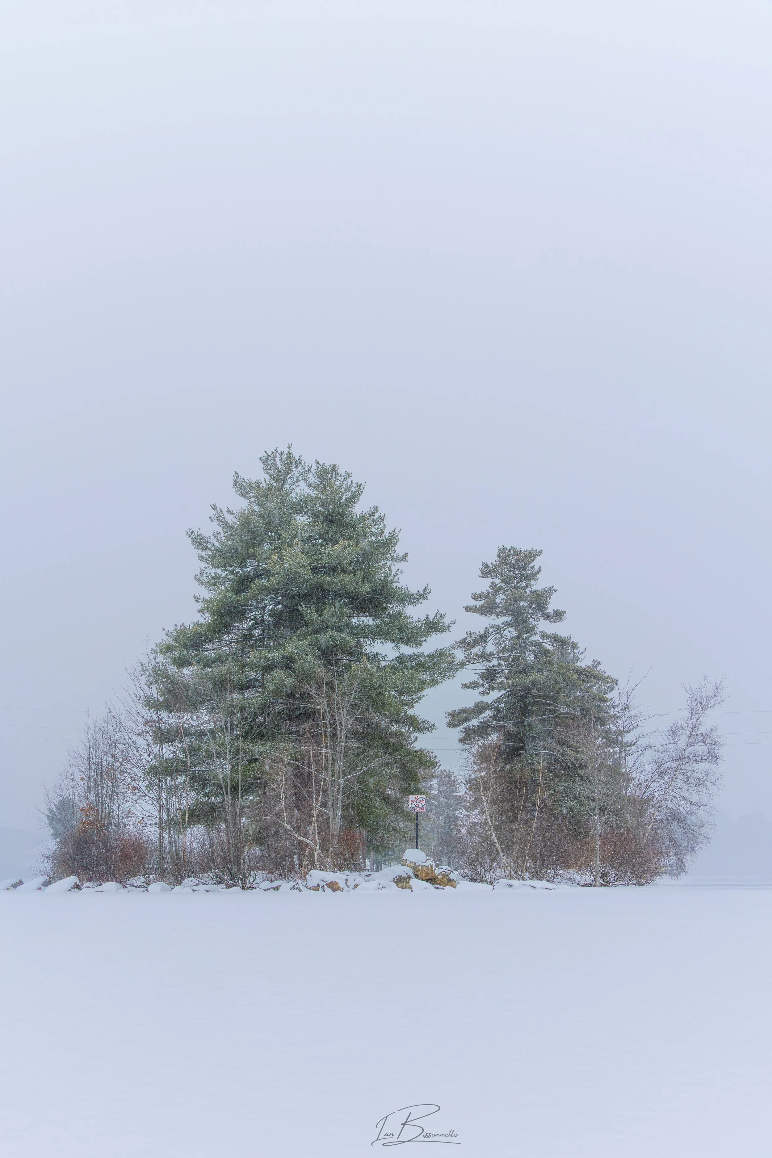 Alone in a snow storm