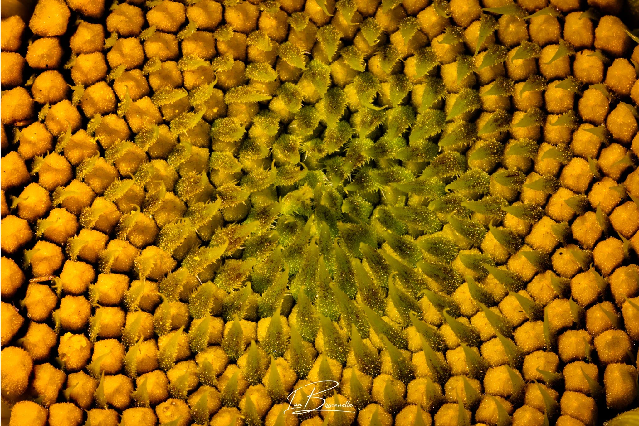 0C2A5156-Edit.jpg