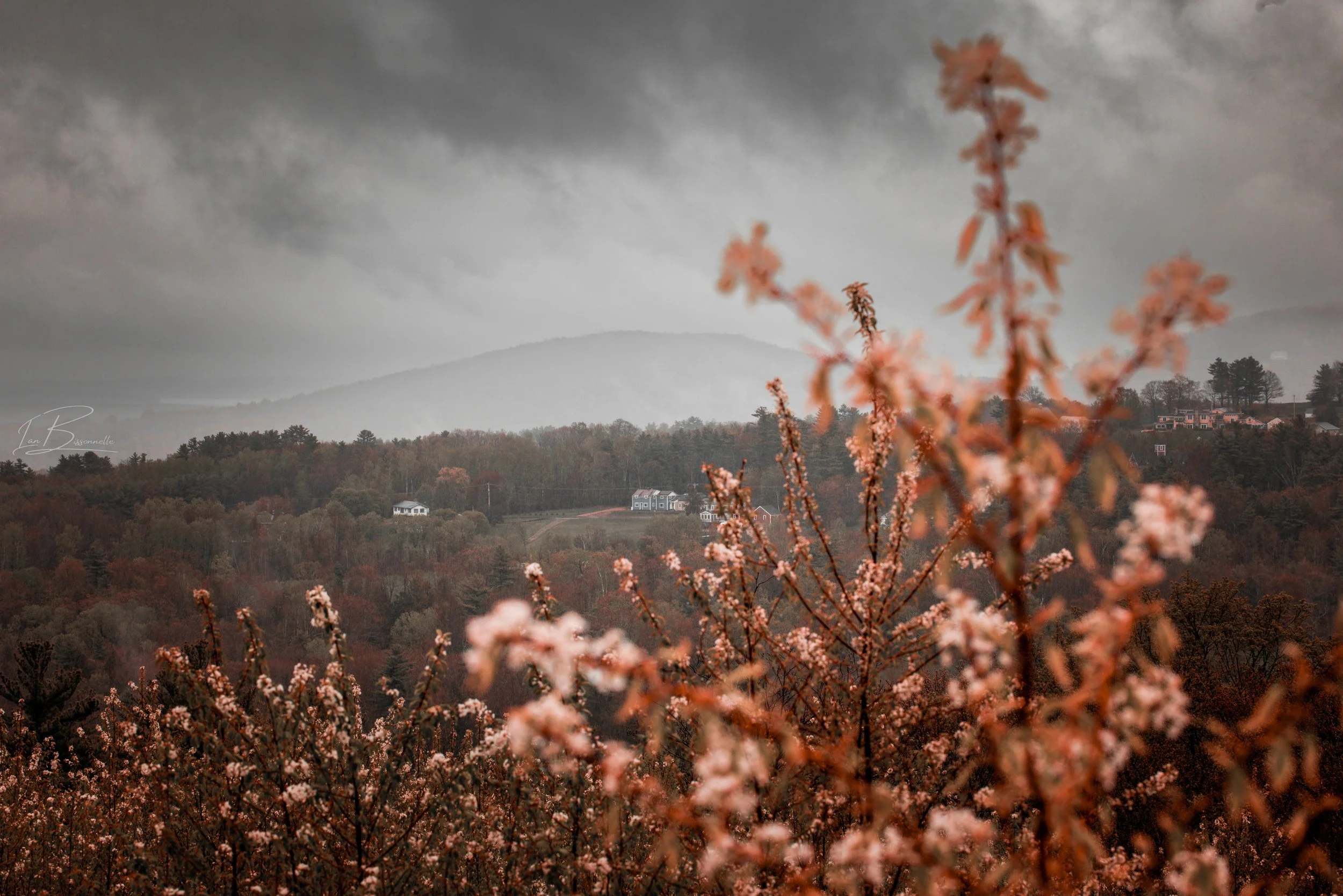 Rainy Trek