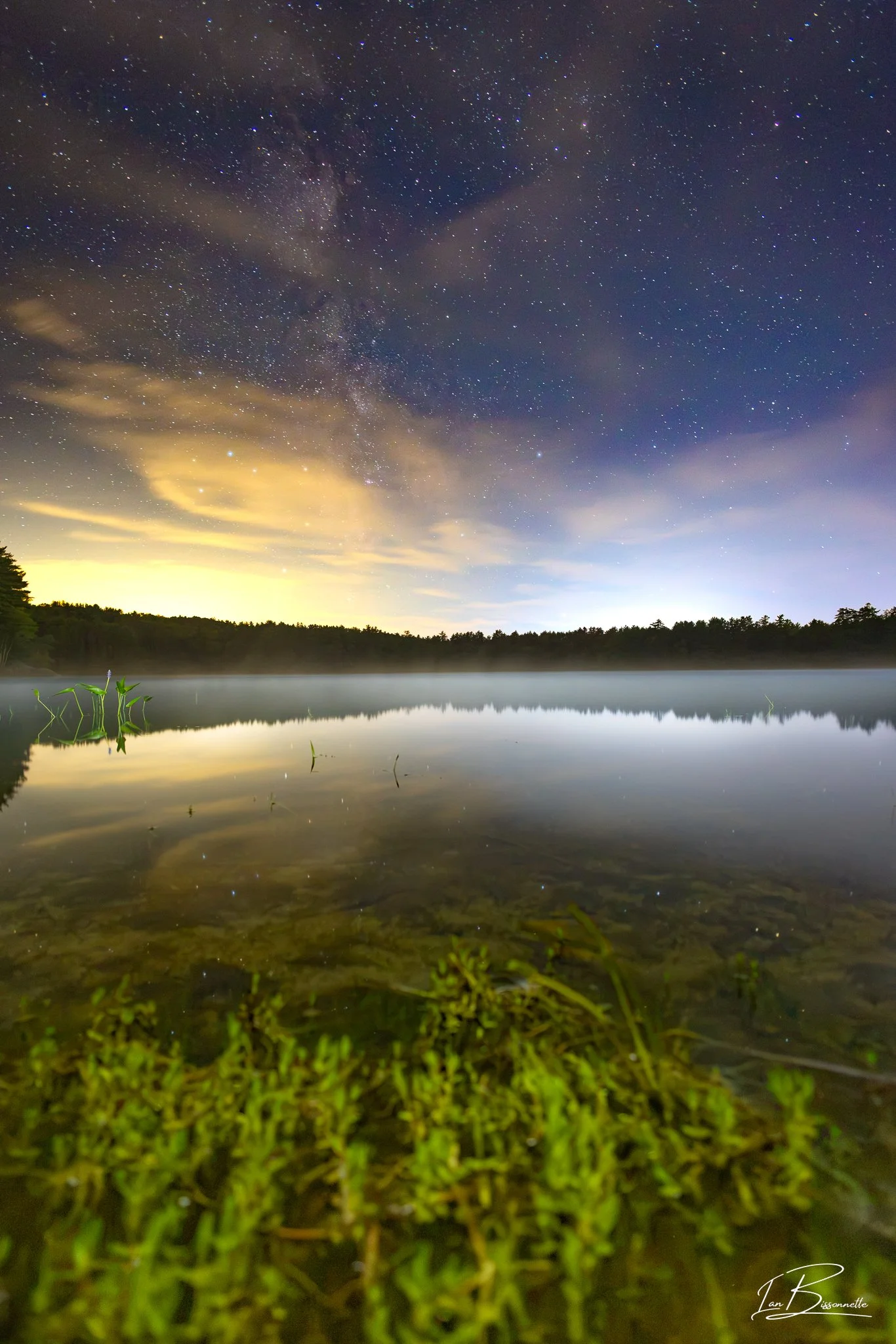 Fog-Marsh Pond