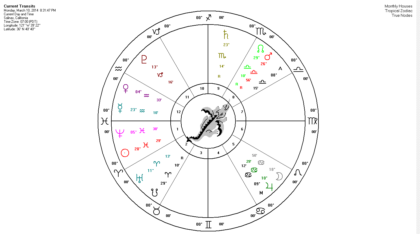 Full Life Soul's Reading