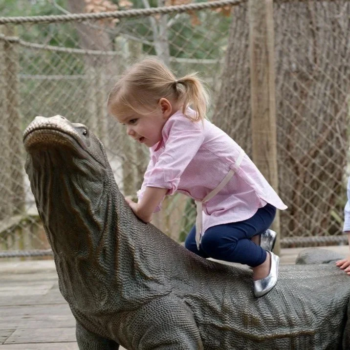 "Climbing a Dragon" by donnierayjones is licensed under CC BY 2.0.