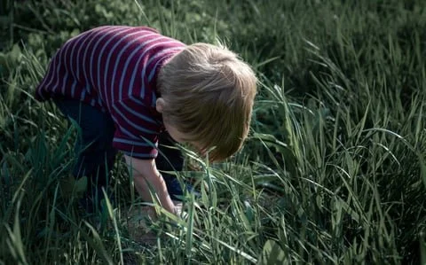 A young child with blonde hair wearing a striped shirt, bending down and picking plants or flowers in a grassy outdoor area.