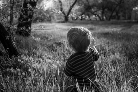 A young child with short hair wearing a striped shirt, standing in a grassy field, reaching towards a tree branch with flowers in a black and white outdoor scene.