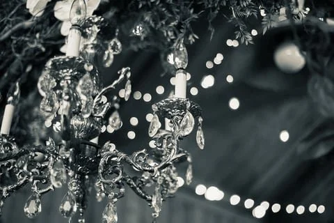 Close-up of a decorative chandelier with crystal ornaments and candle-shaped light bulbs, hung amidst foliage with bokeh light background.
