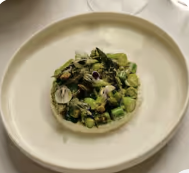 Screenshot 2026-03-08 at 8.10.30 pm.png