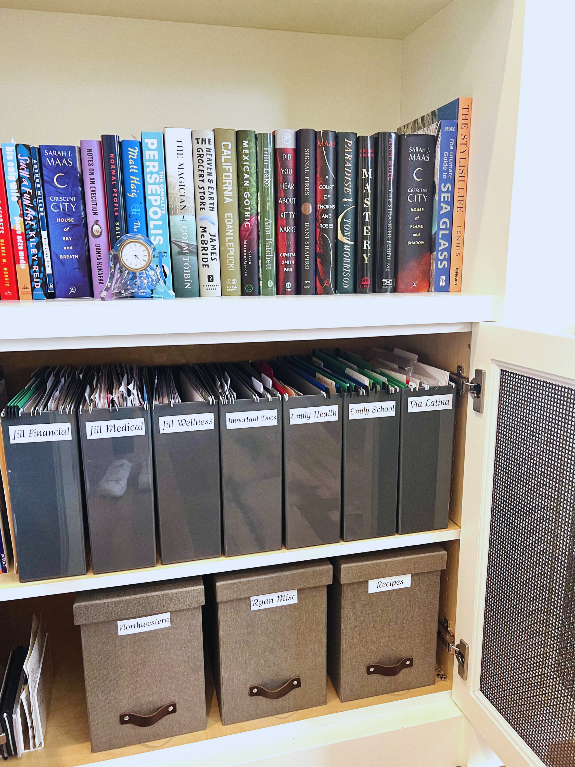 Organized home office shelving with labeled files and storage bins creating a clean, functional workspace.