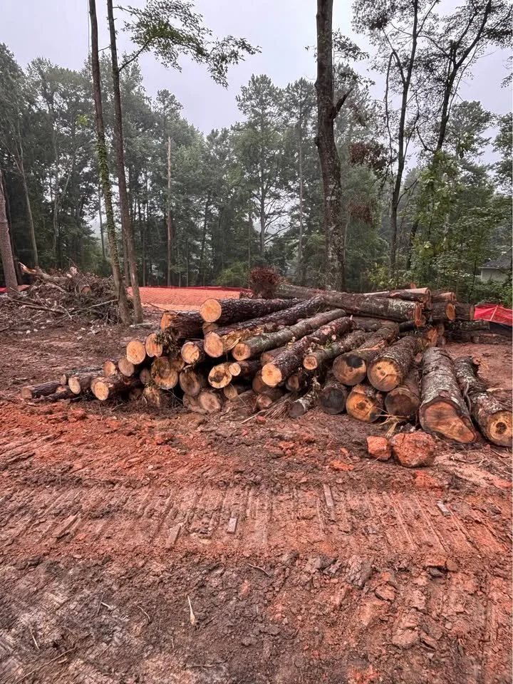 Pile of cut logs on cleared dirt ground in a wooded area with trees in the background.