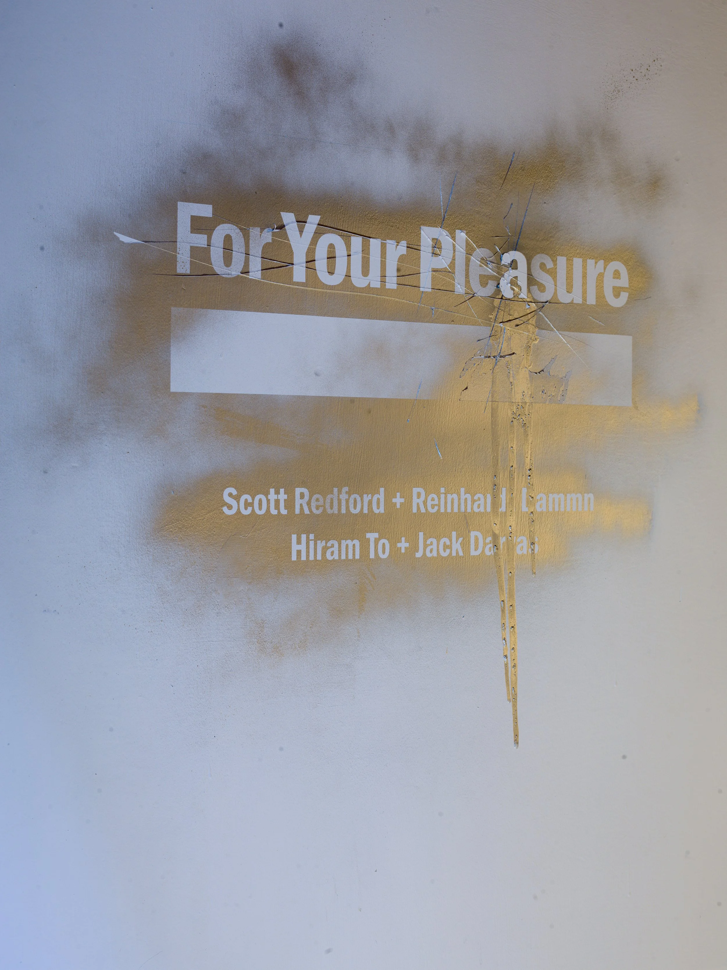 ForYourPleasure_02.jpg