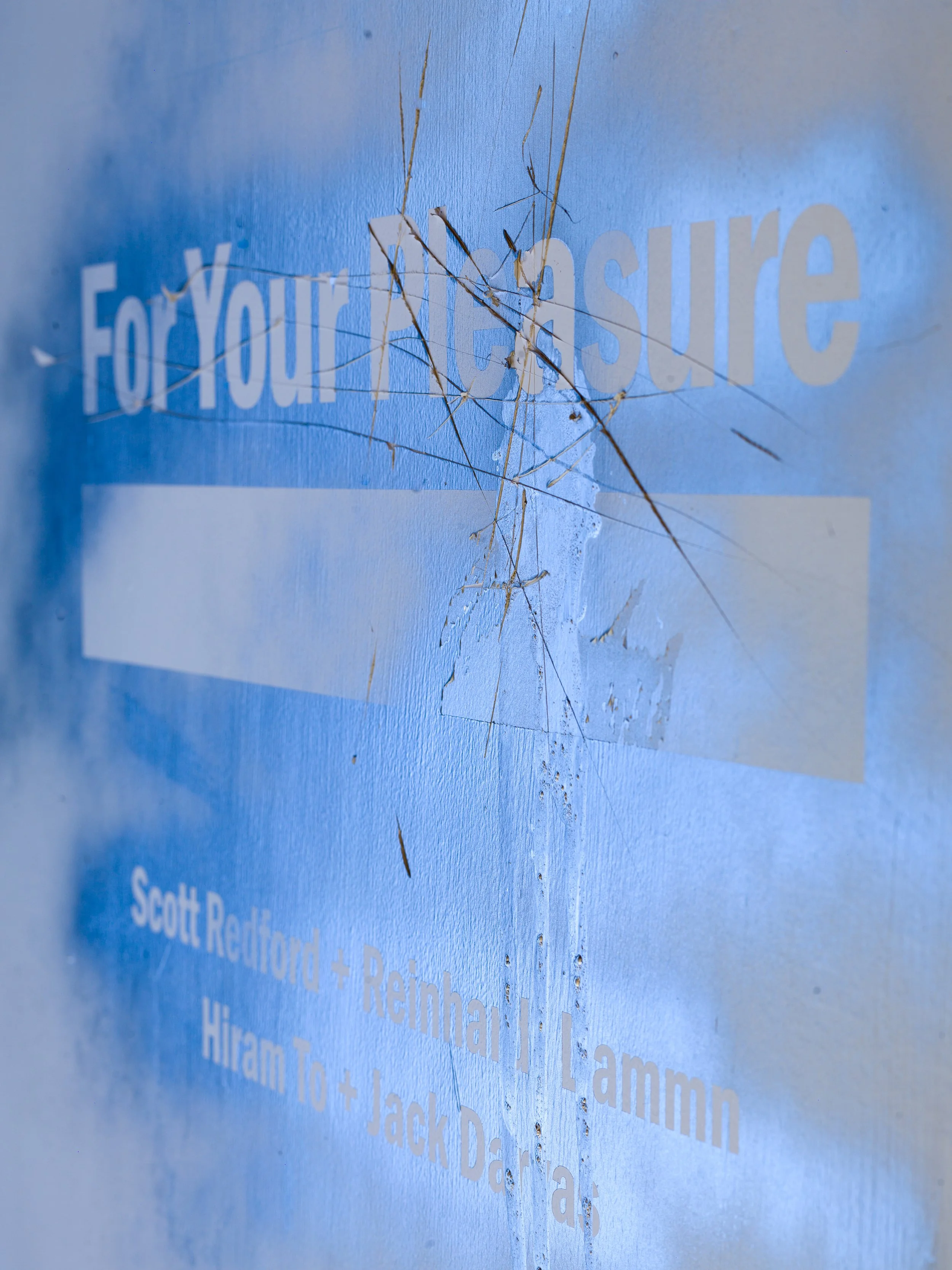 ForYourPleasure_03.jpg