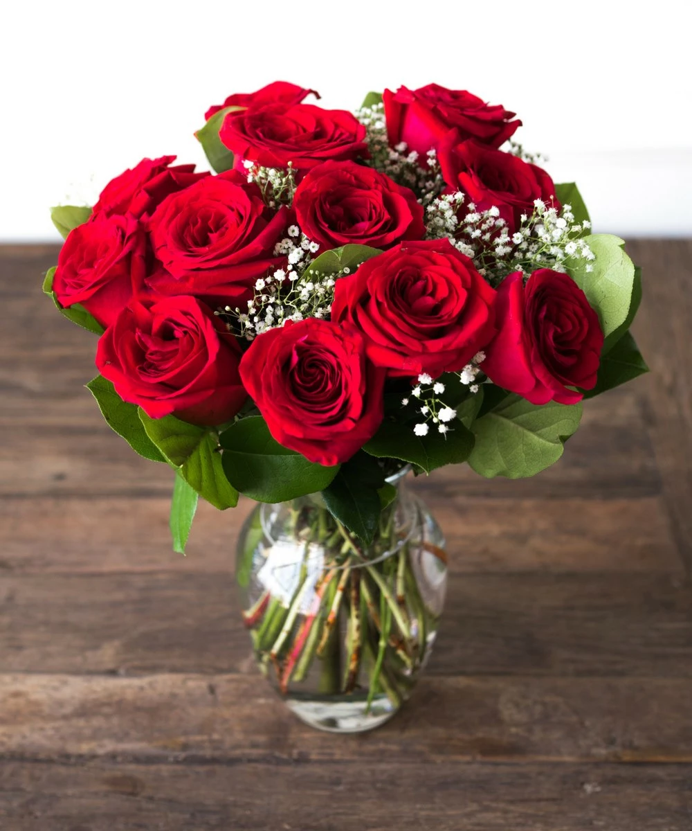 DOZEN RED ROSES