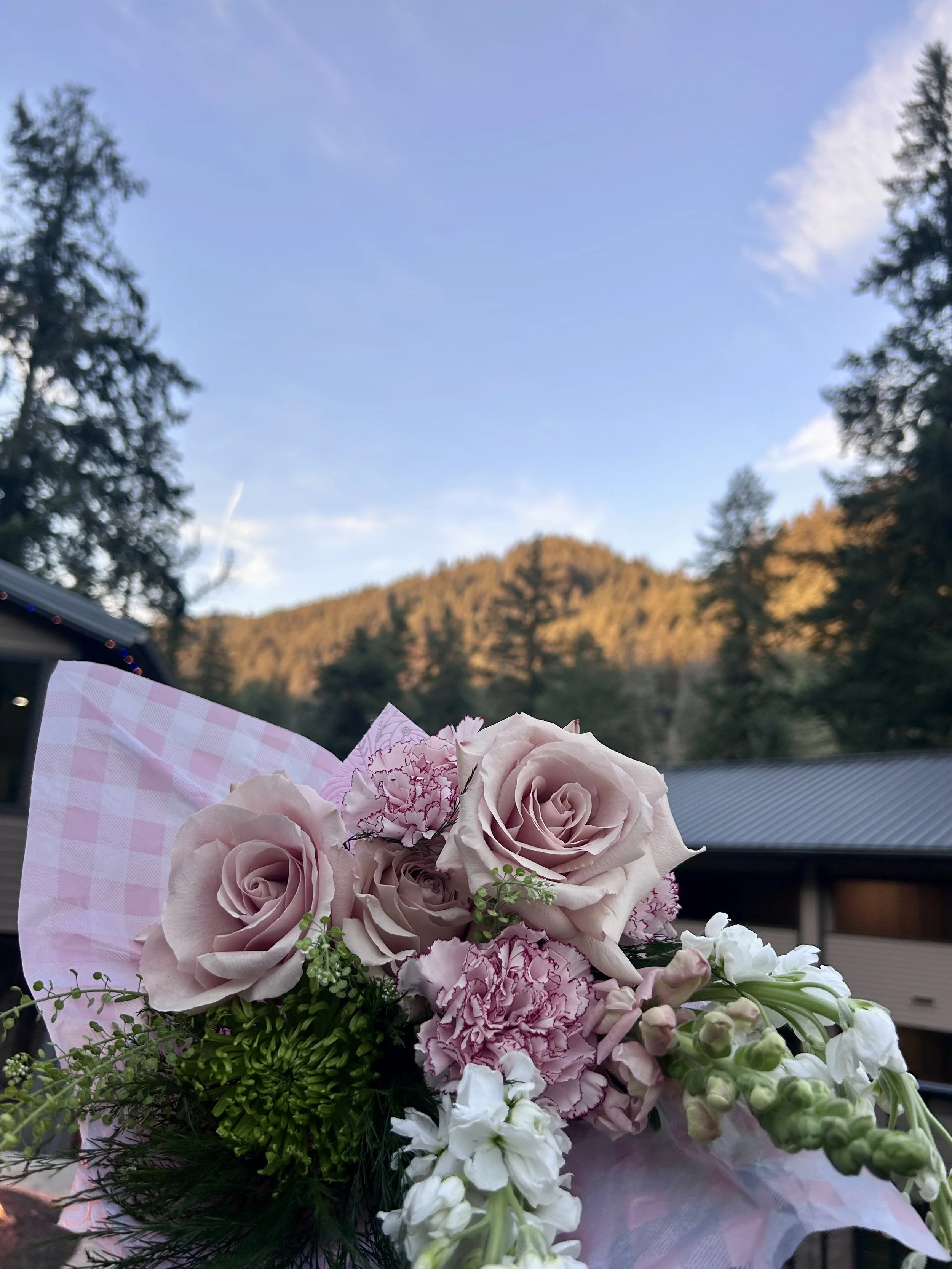 A bouquet of pink roses, pink carnations, white flowers, and greenery held against a backdrop of trees, mountains, and a clear blue sky.