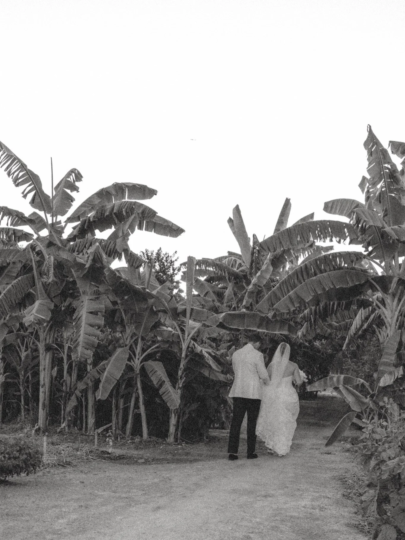 Where love turns into celebration.
Long tables, soft lights, and a night meant to linger. 

Captured for @courtneytaylorphotography 

#weddingday #2026bride #weddingphotographers #cabophotographer #mexicophotographer