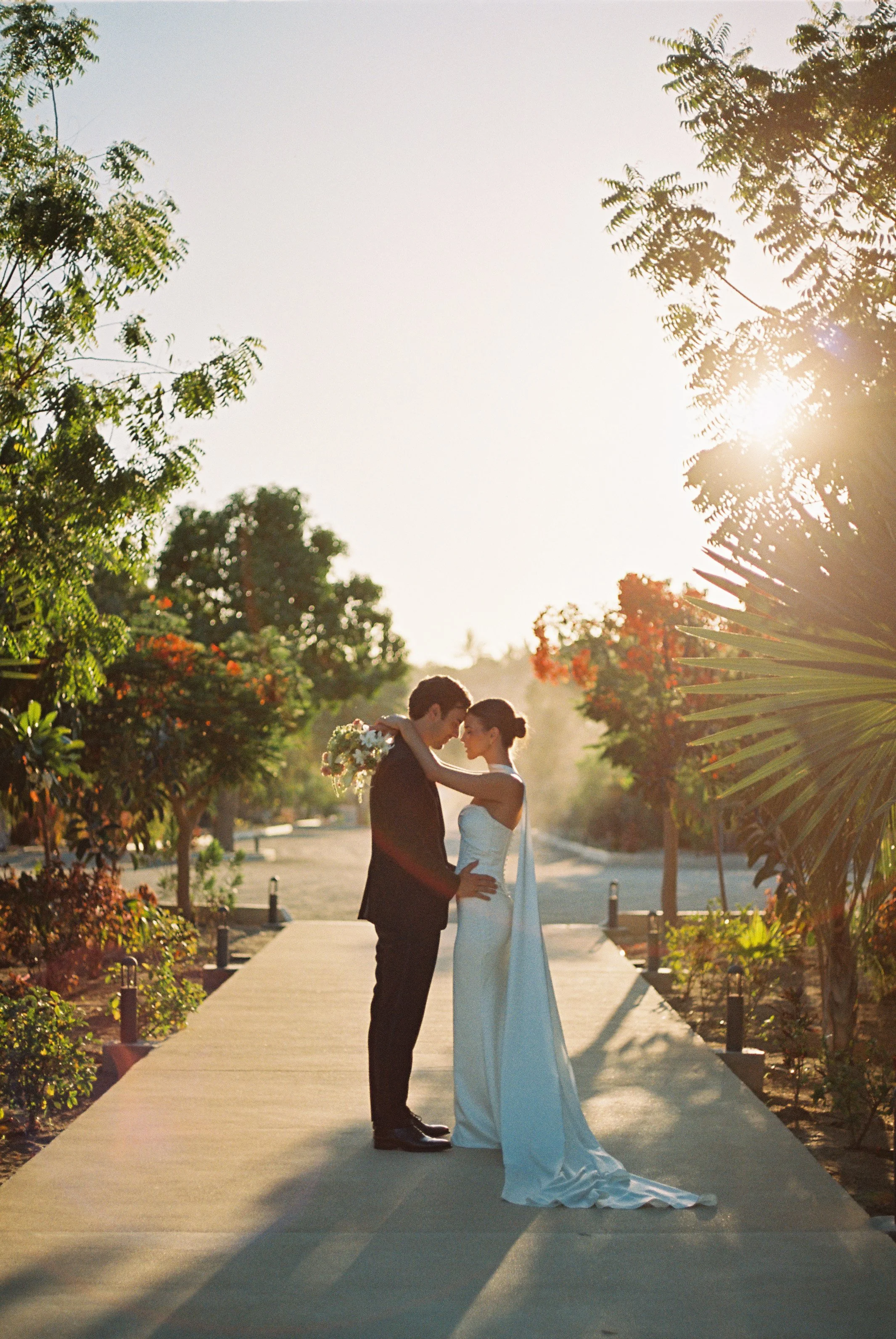A couple dressed in wedding attire standing closely together on a pathway in a park-like setting, holding each other tenderly during sunset, surrounded by lush green trees.