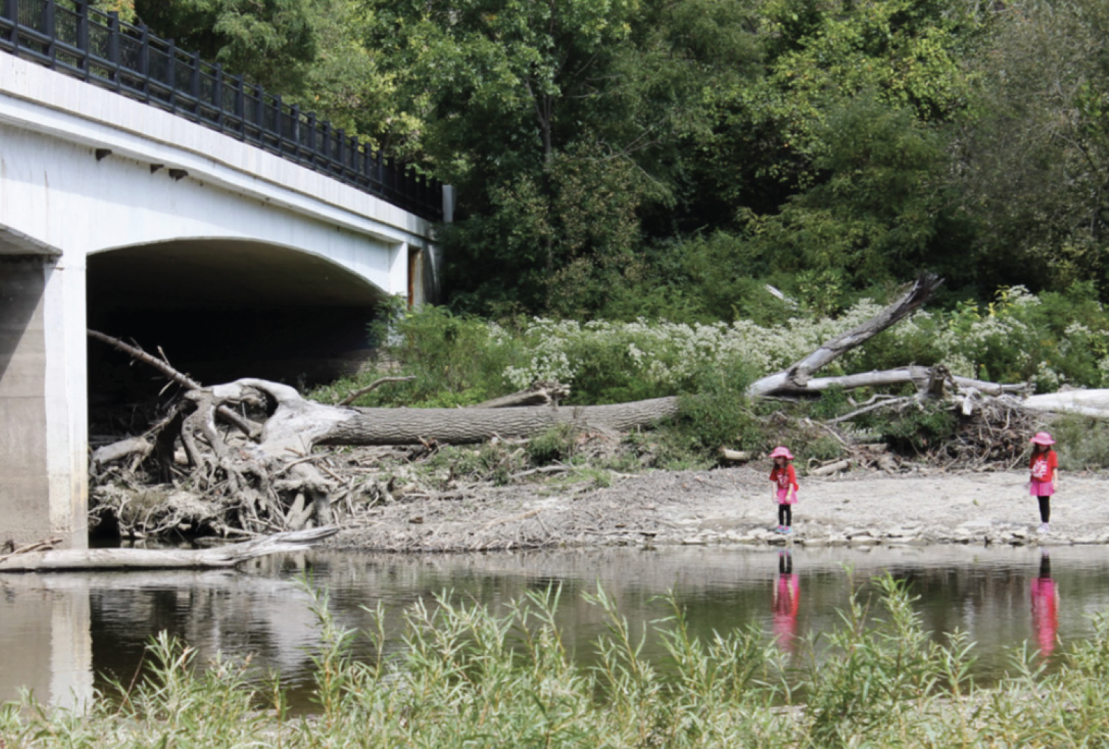 Screenshot 2026-01-29 at 2.58.15 PM.png