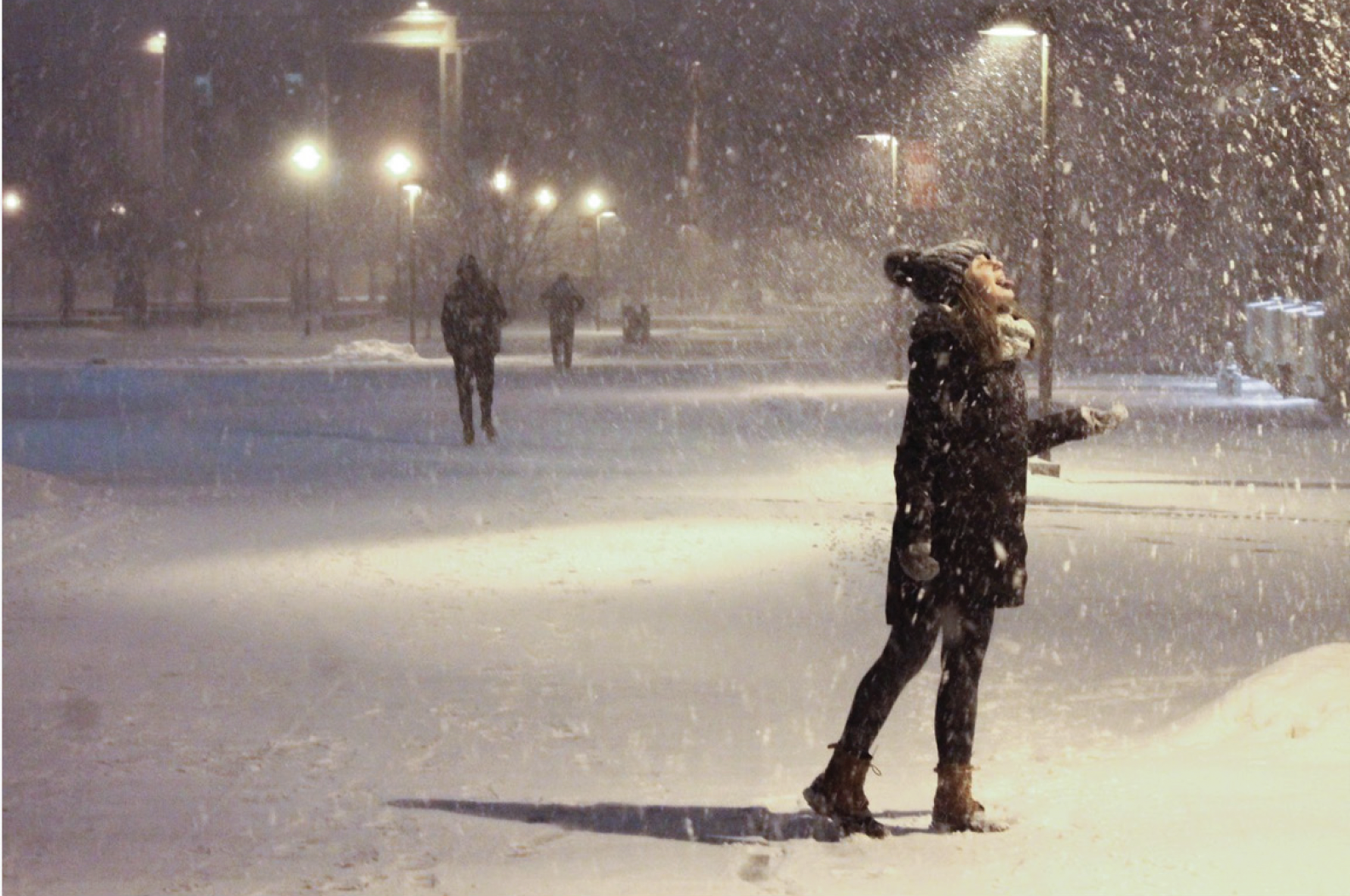 Screenshot 2026-01-29 at 2.54.54 PM.png