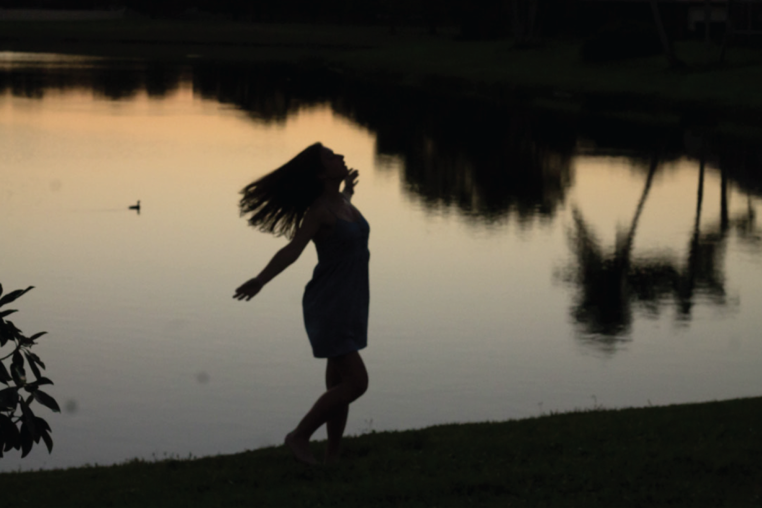 Screenshot 2026-01-29 at 2.56.43 PM.png