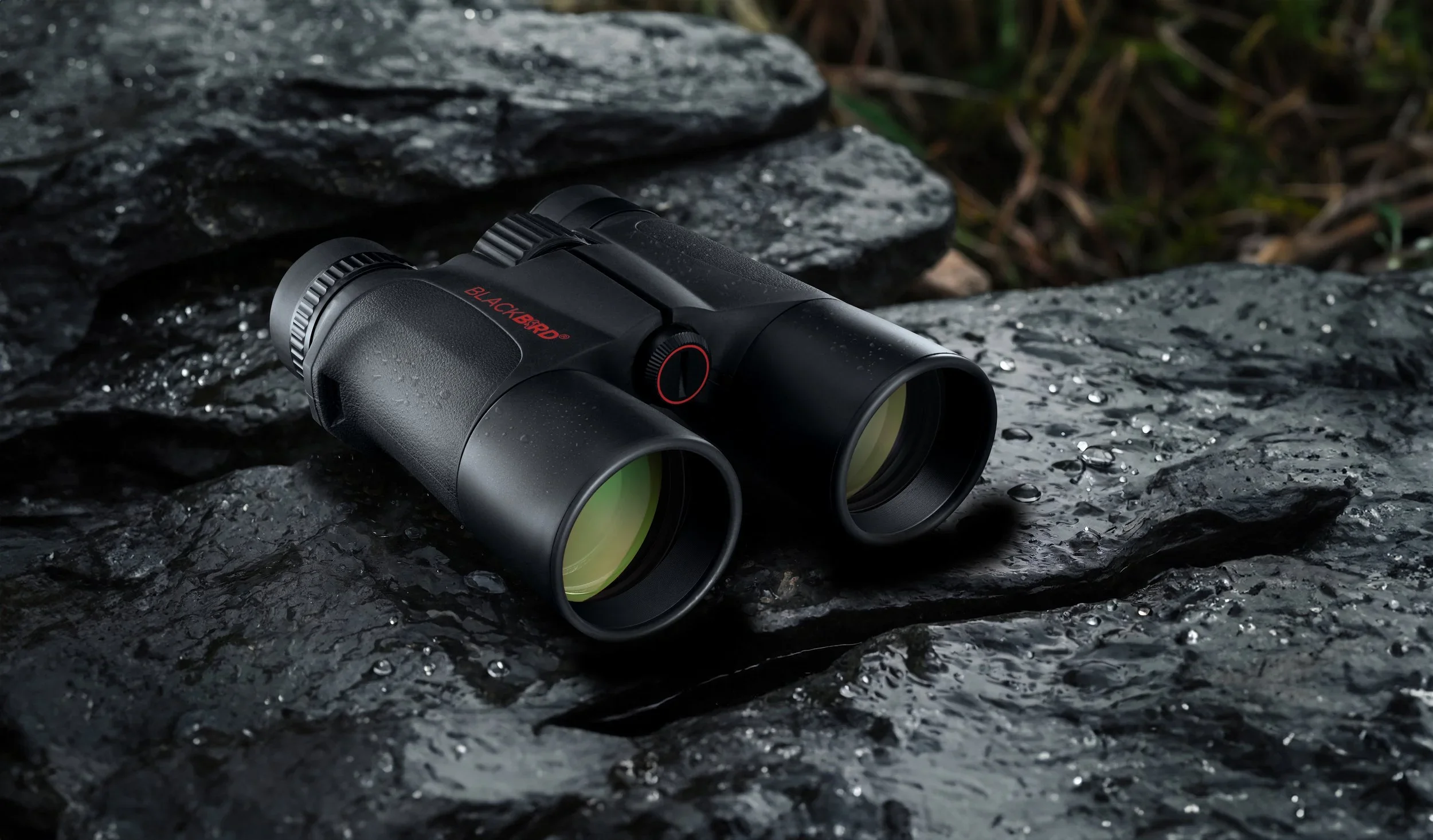 Binoculars HD 10x42 Water.webp