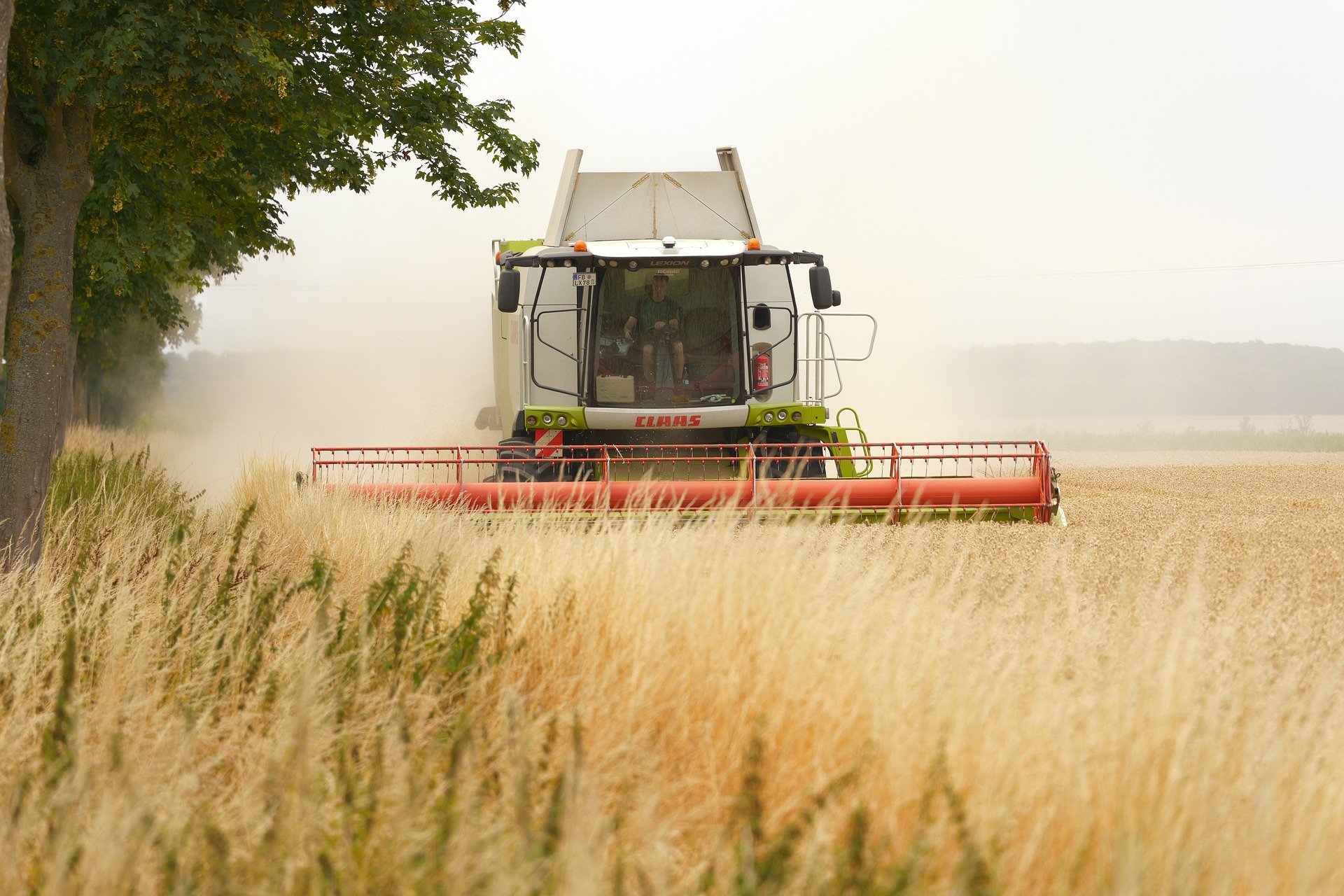 A tractor working in a golden field of wheat on a farm, with trees and a cloudy sky in the background.